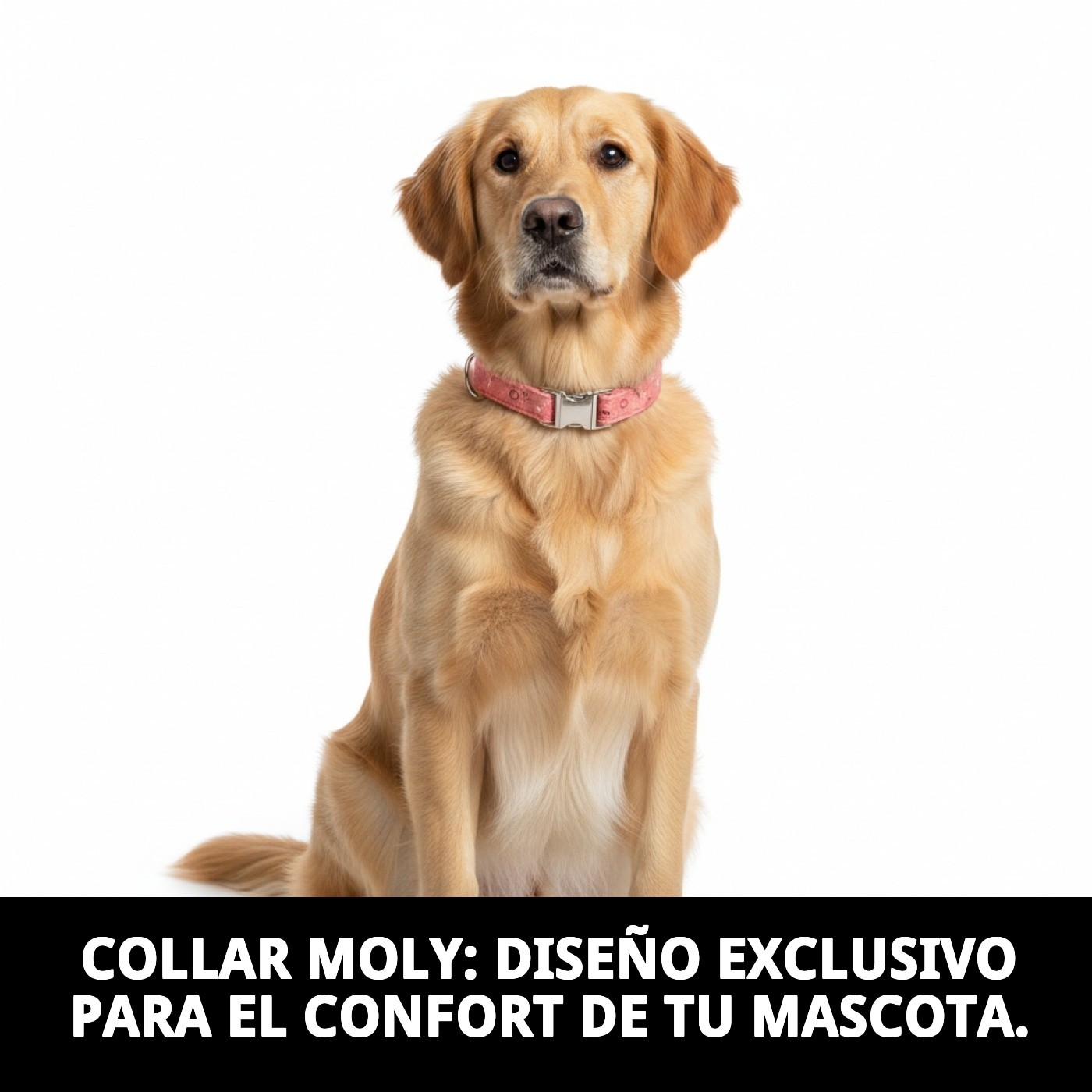 COLLAR MOLY SALMON T-4 35-45*2