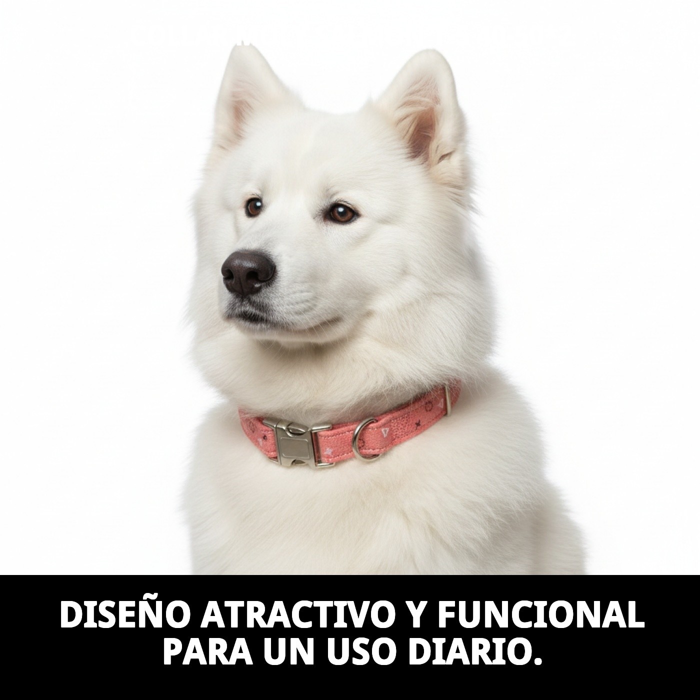 COLLAR MOLY SALMON T-5 40-50*2