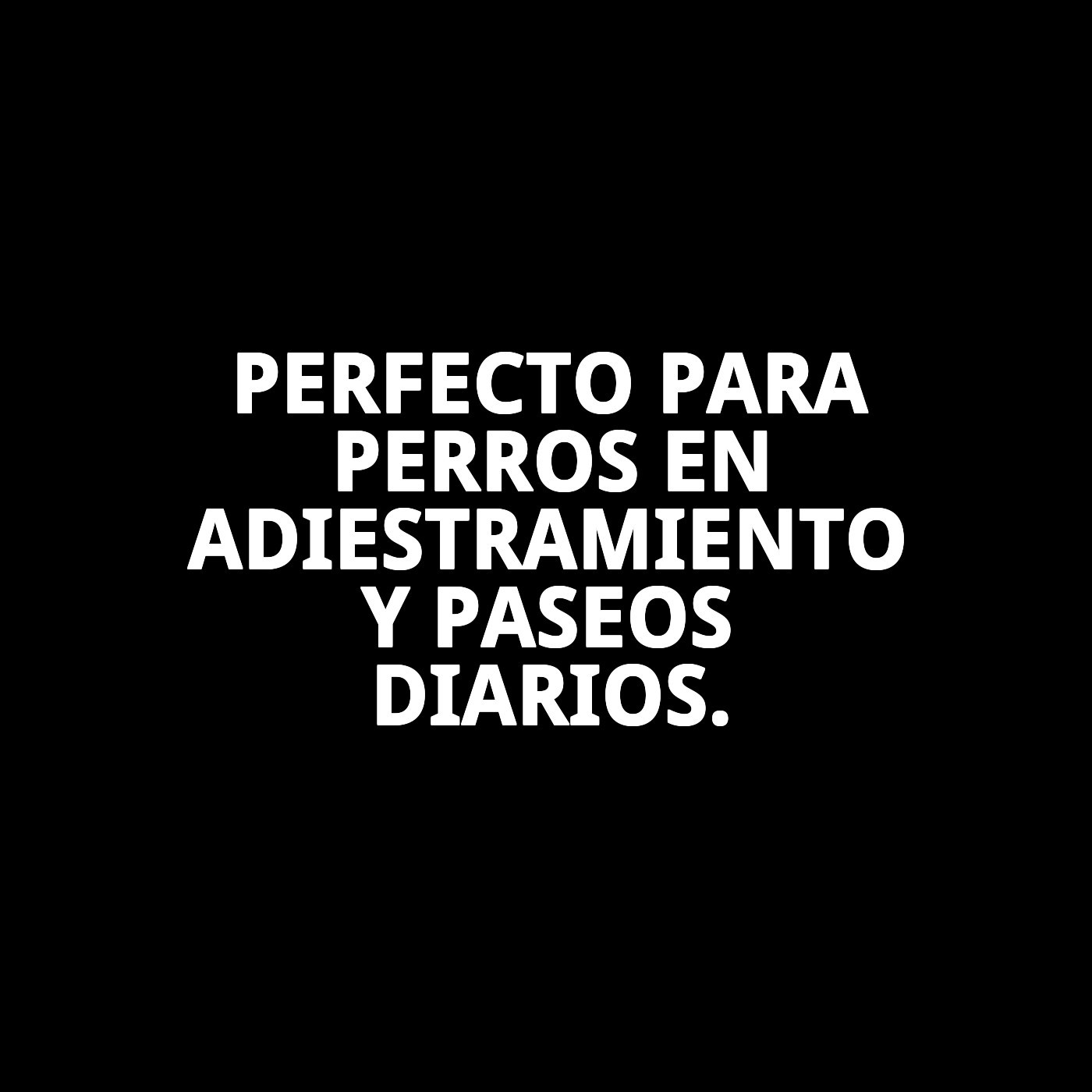 COLLAR NYLON ADIESTRAMIENTO 85X2.5 CM