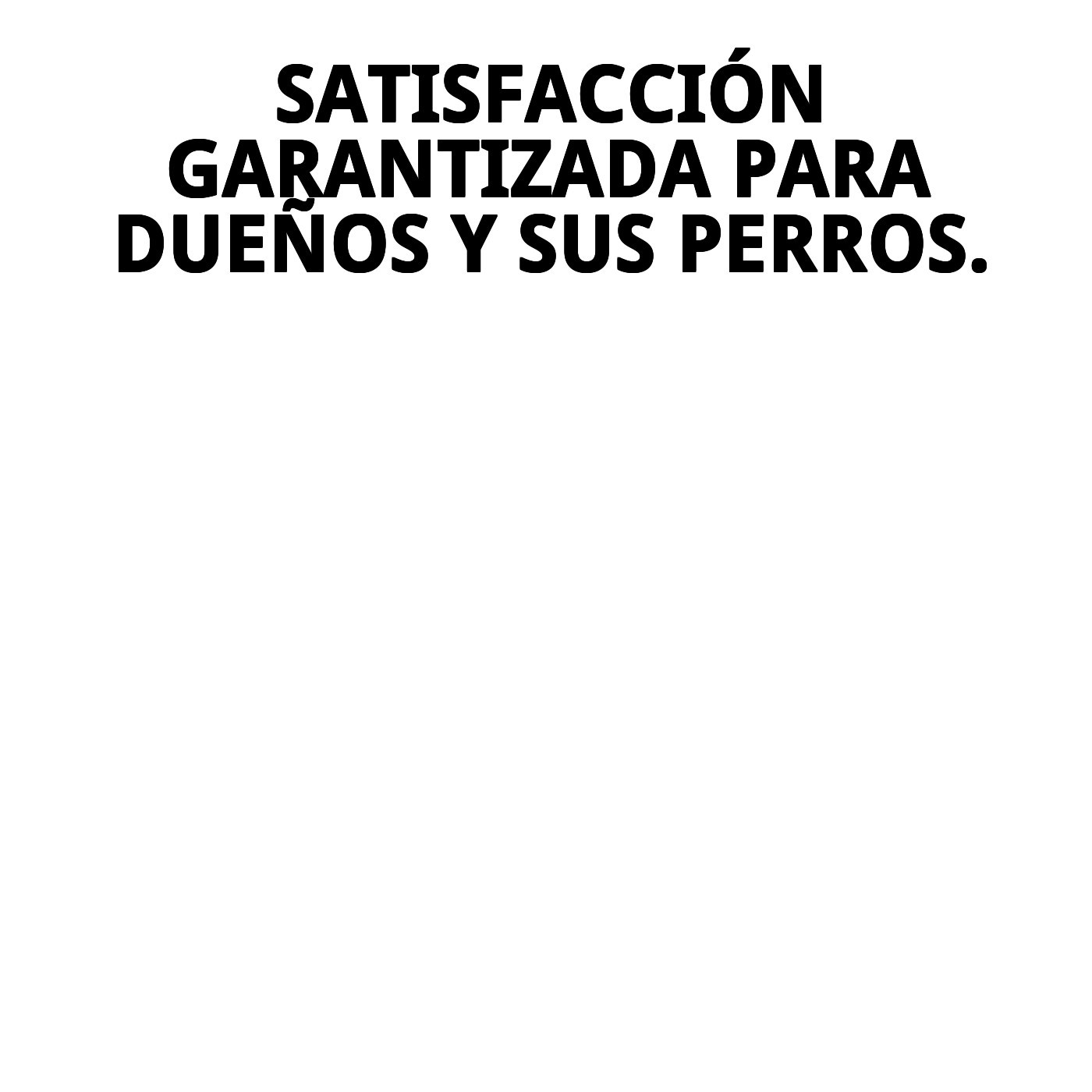 COLLAR NYLON ADIESTRAMIENTO 85X2.5 CM