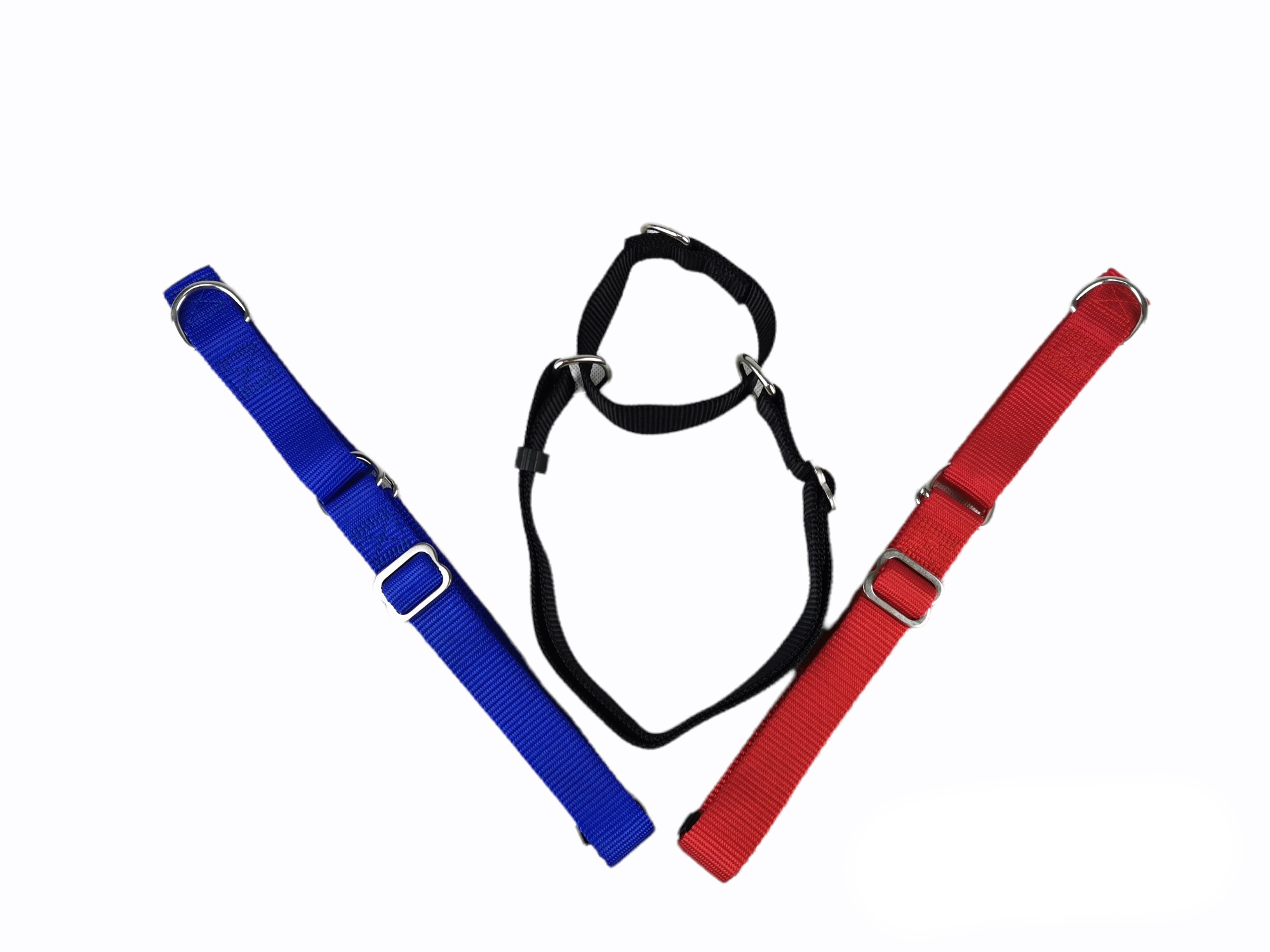 COLLAR NYLON ADIESTRAMIENTO 85X2.5 CM