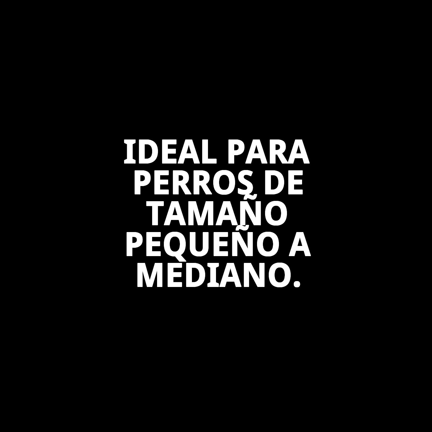 COLLAR NYLON LISO 25-40cm X 1,5cm