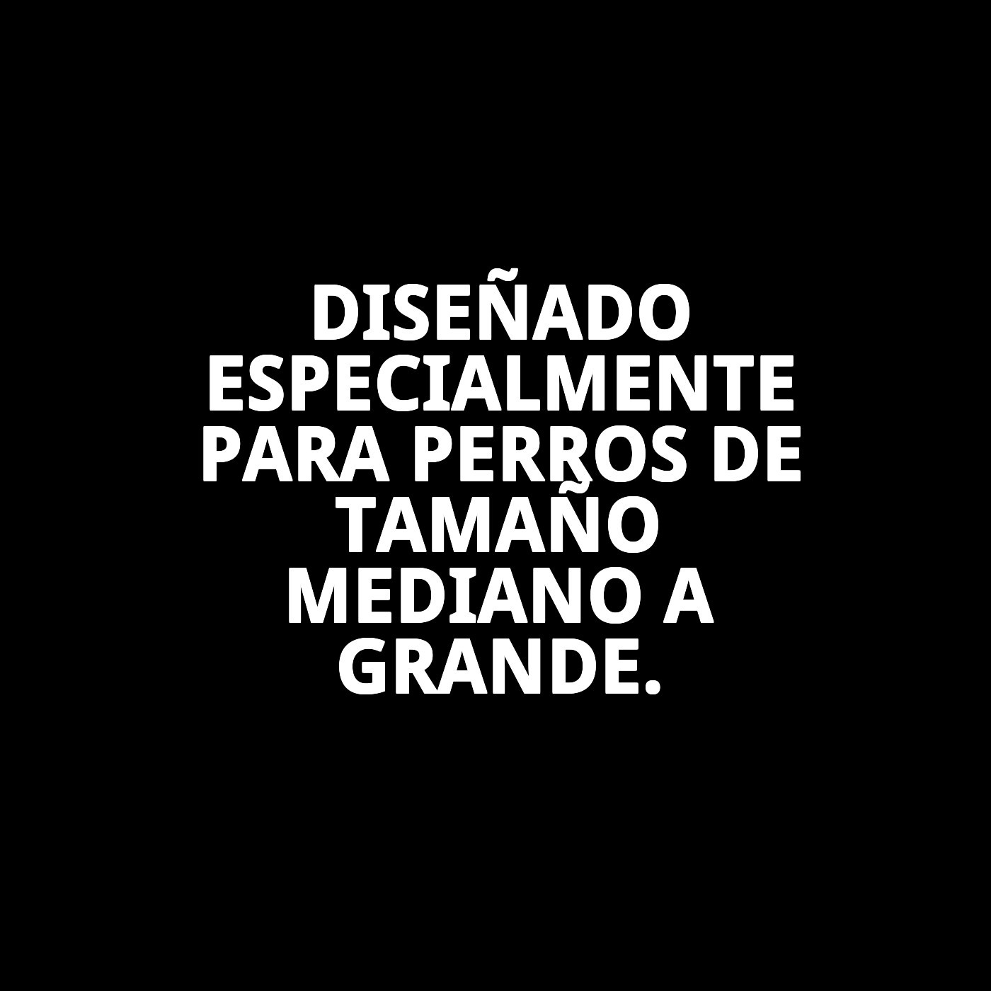 COLLAR NYLON LISO 35-55cm X 2cm