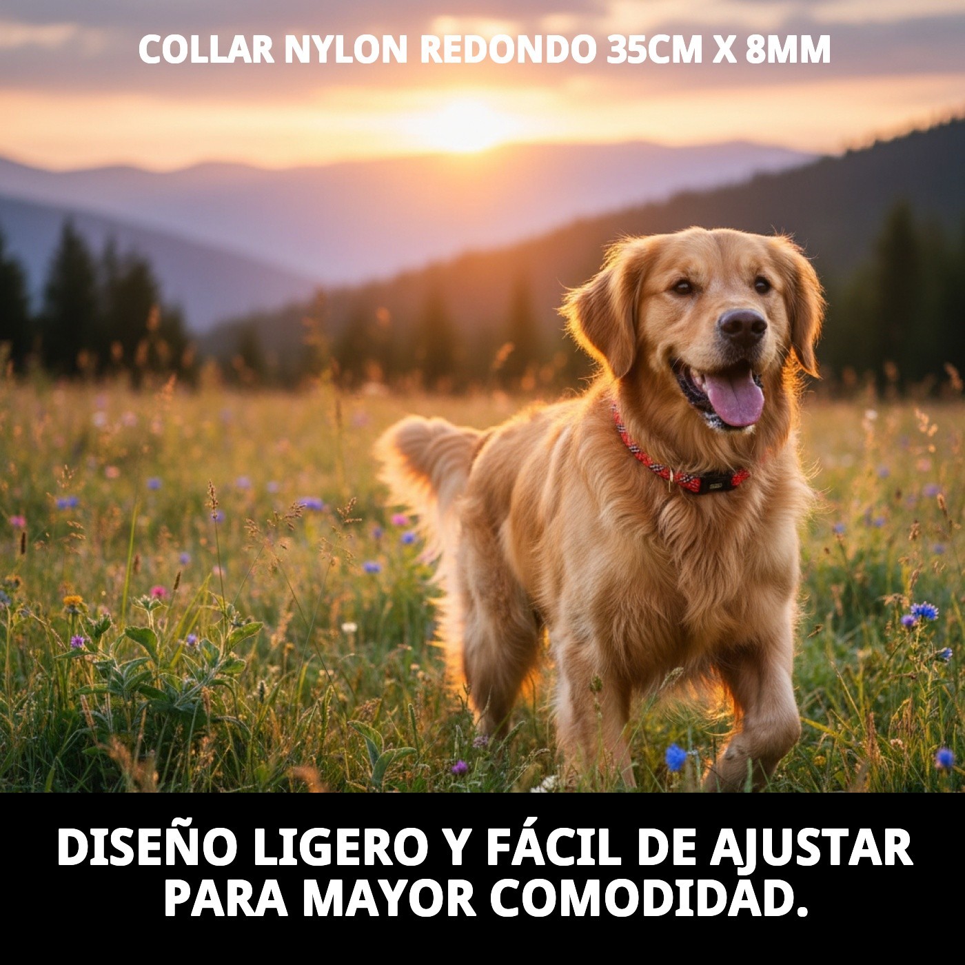 COLLAR NYLON REDONDO 35cm X 8mm