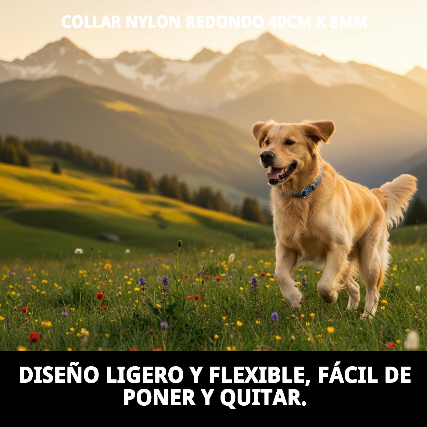 COLLAR NYLON REDONDO 40cm X 8mm