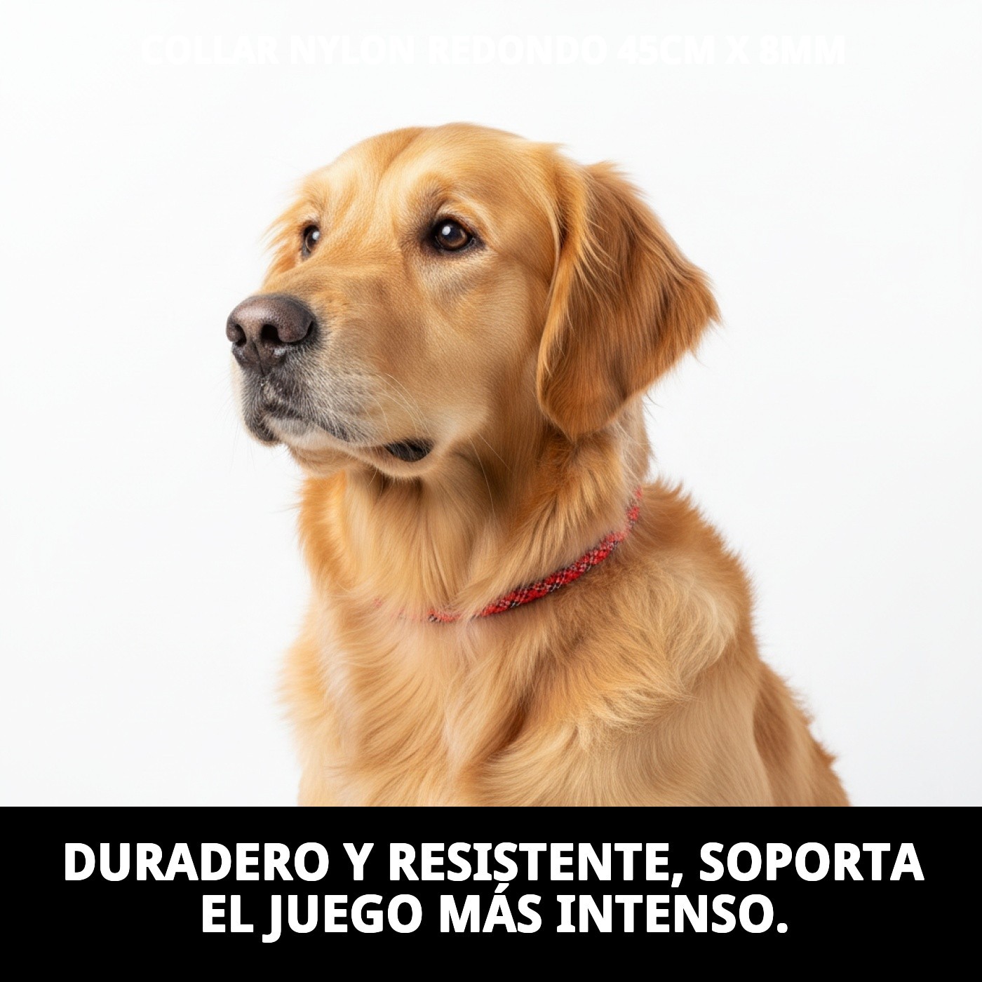 COLLAR NYLON REDONDO 45cm X 8mm