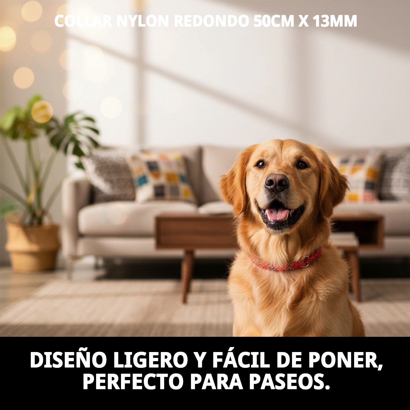 COLLAR NYLON REDONDO 50cm X 13mm