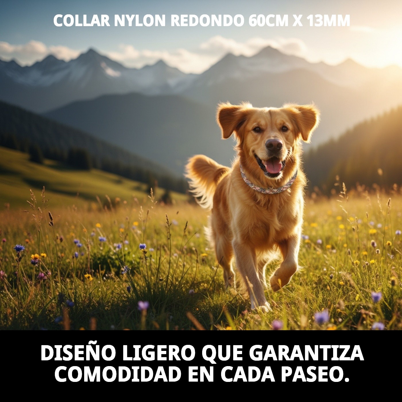 COLLAR NYLON REDONDO 60cm X 13mm