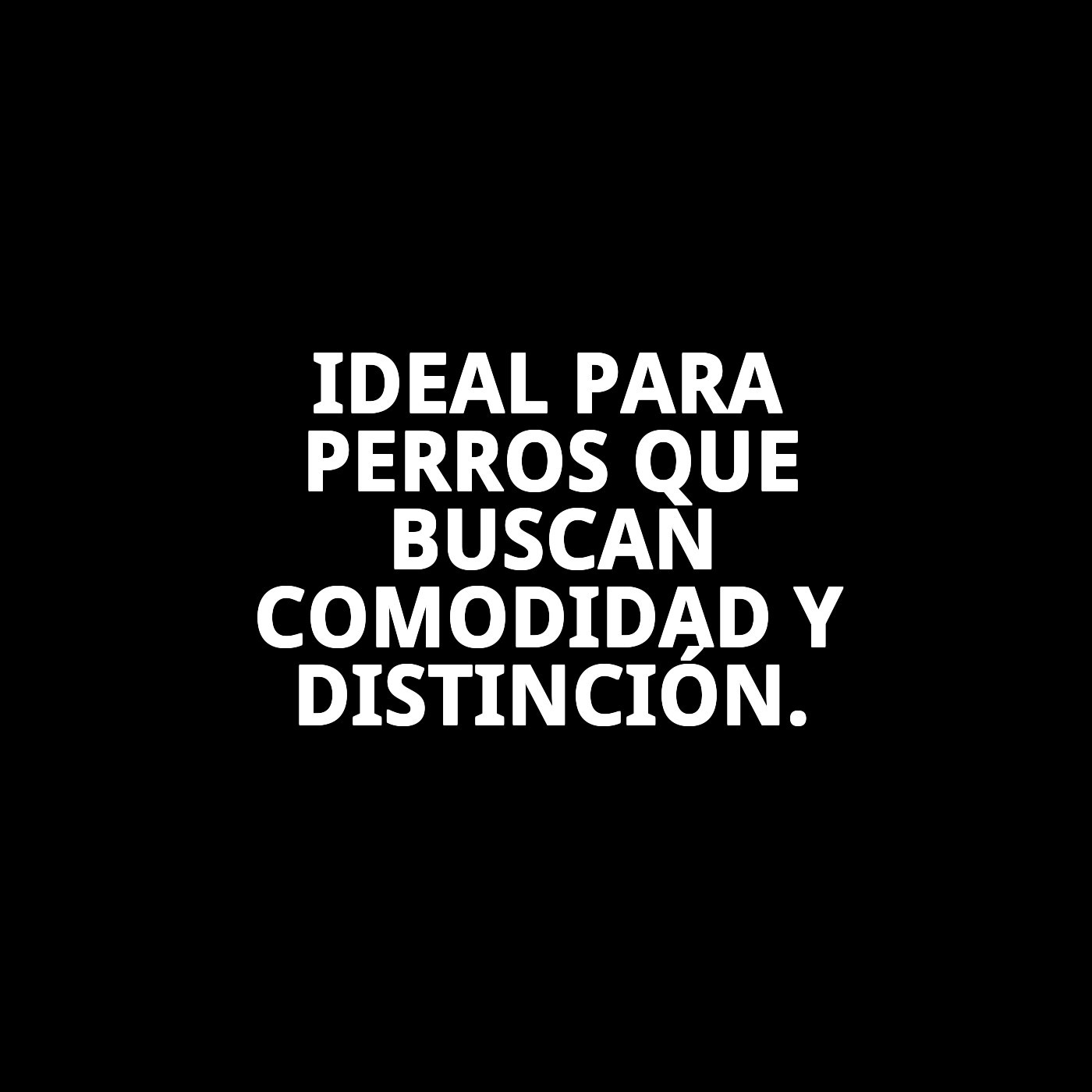 COLLAR PIEL LUXURY CRISTAL 56 CM