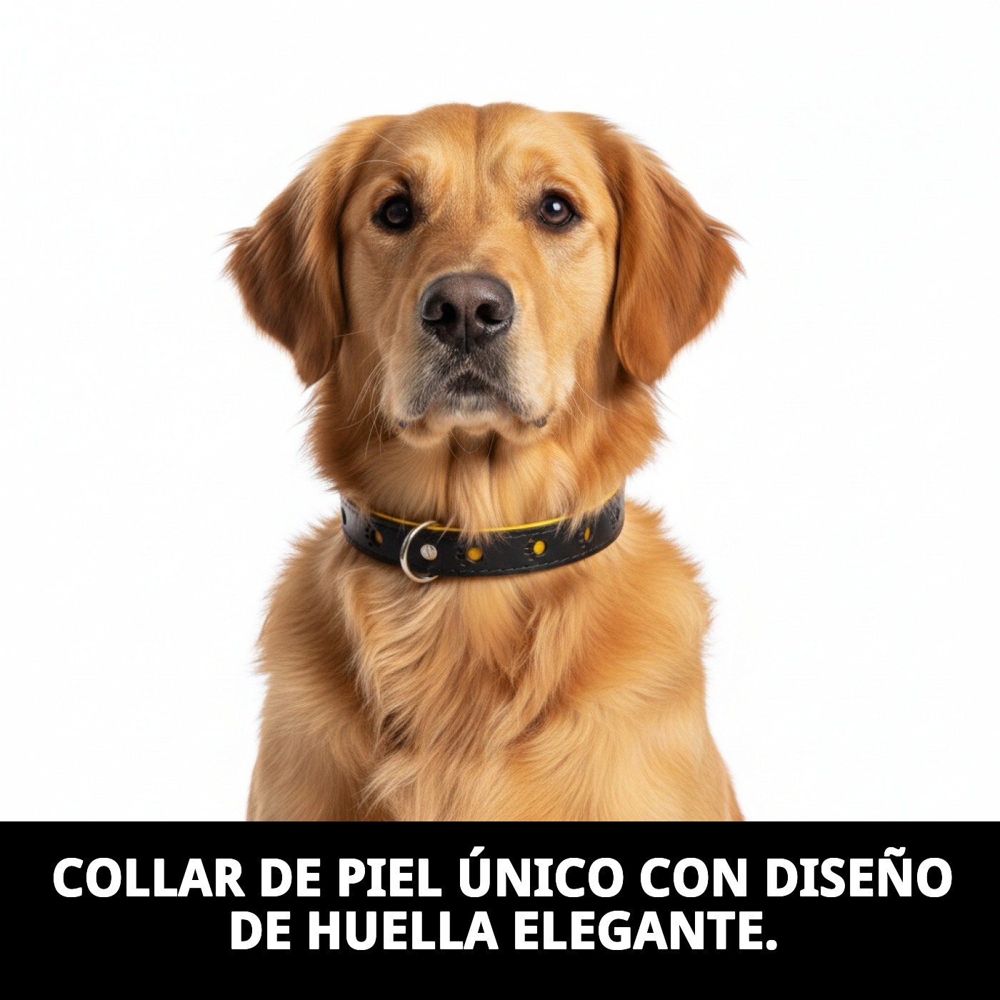 COLLAR PIEL LUXURY HUELLA 45 CM