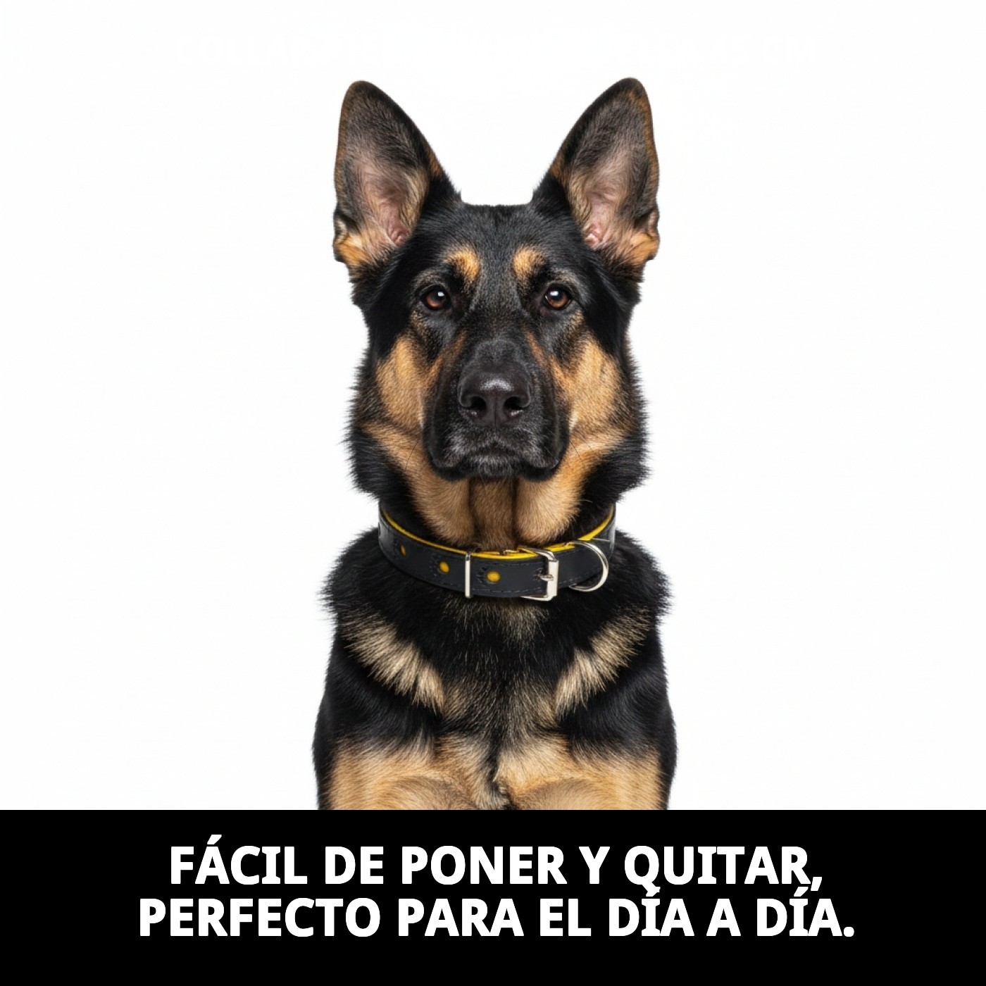 COLLAR PIEL LUXURY HUELLA 45 CM