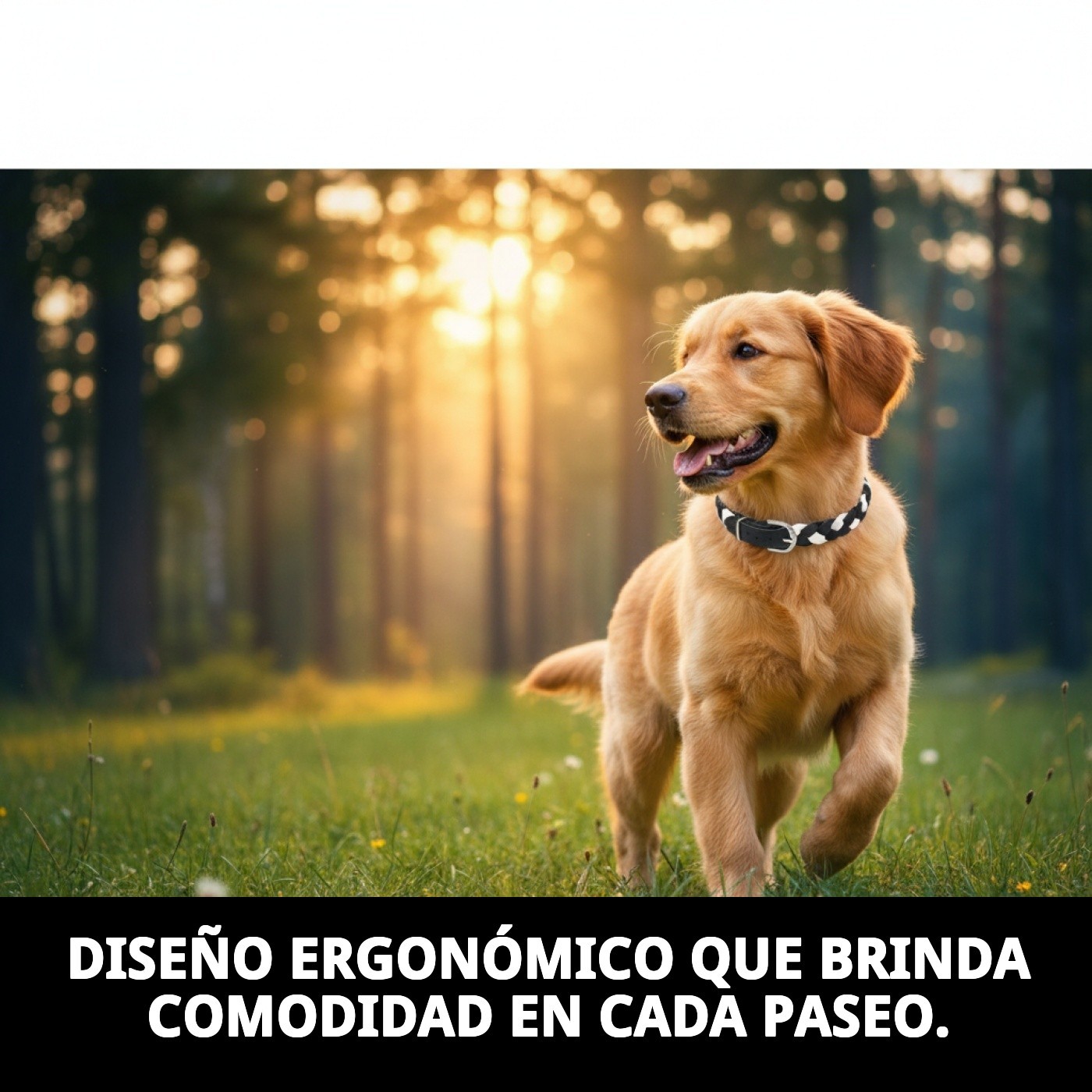 COLLAR PIEL LUXURY TRENZADO 50 CM