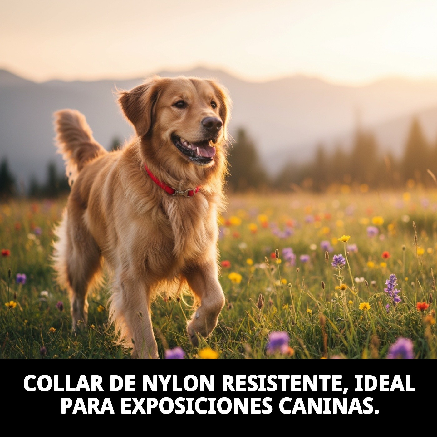 COLLAR RAMAL NYLON EXPOSICION PINZA