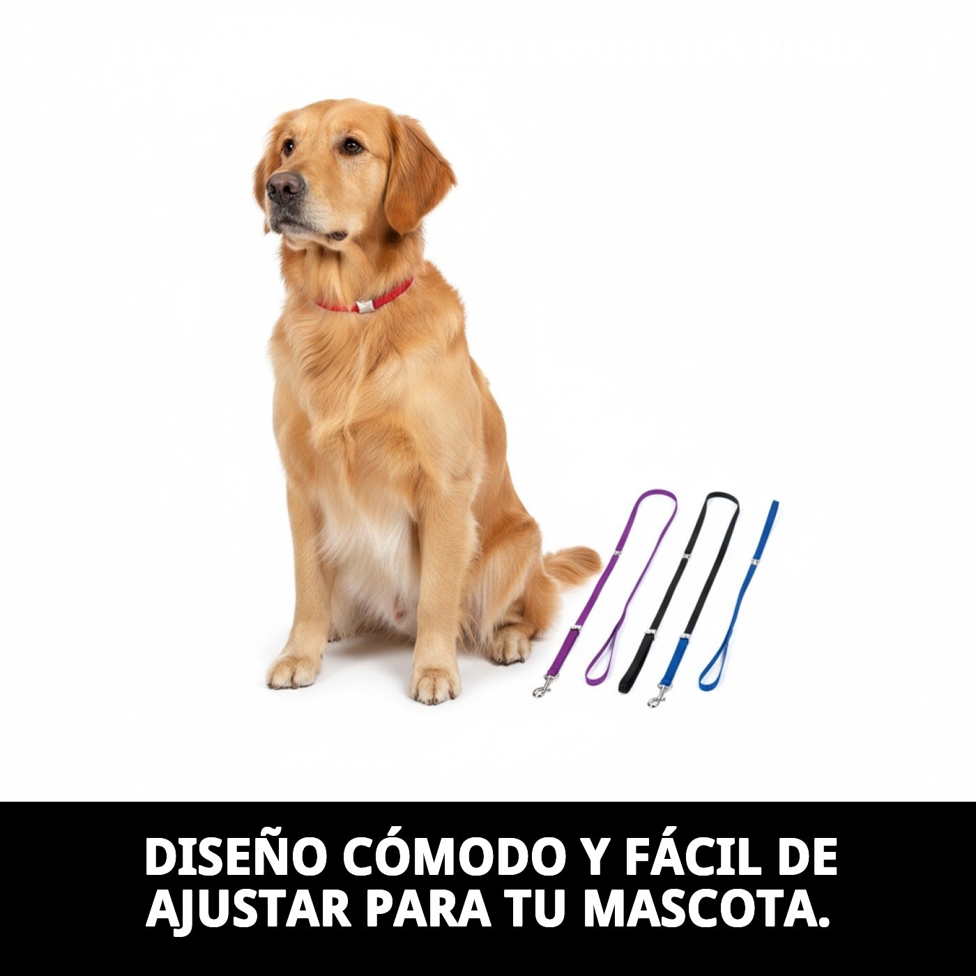 COLLAR RAMAL NYLON EXPOSICION PINZA