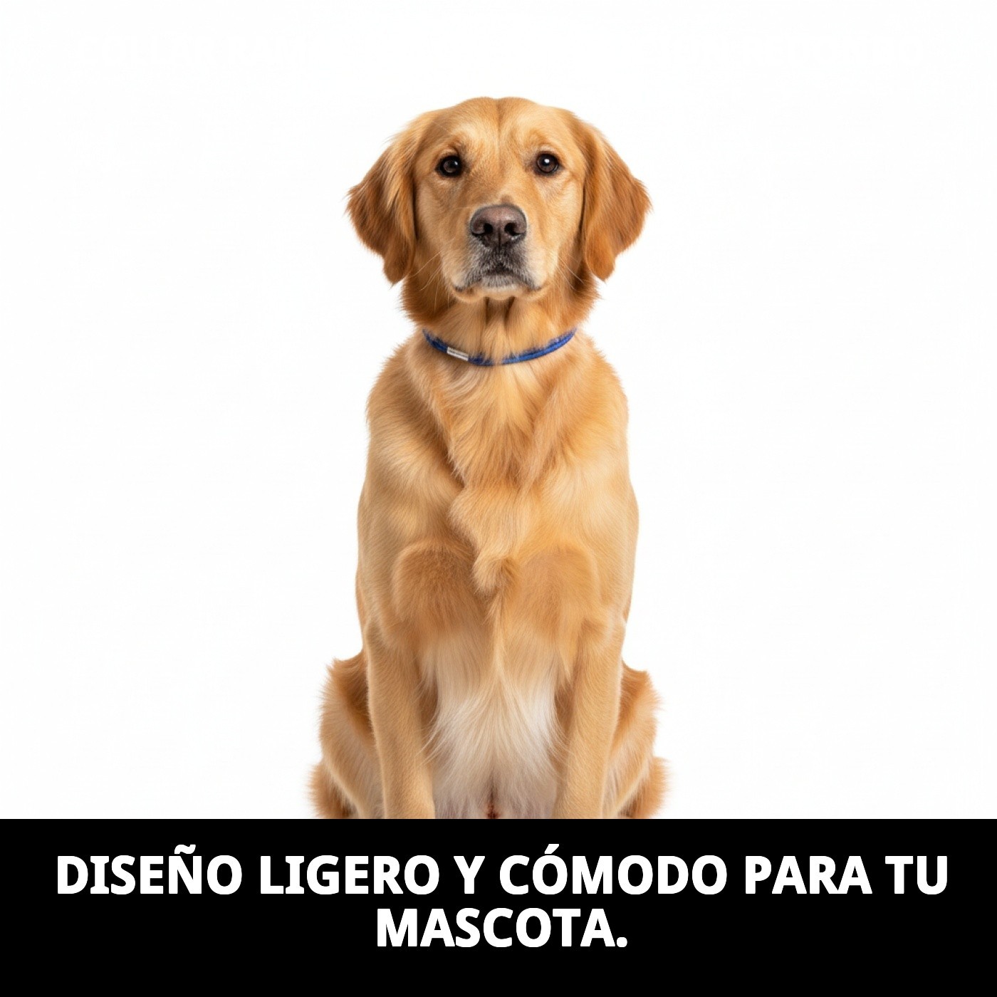 COLLAR RAMAL NYLON EXPOSICION REDONDO