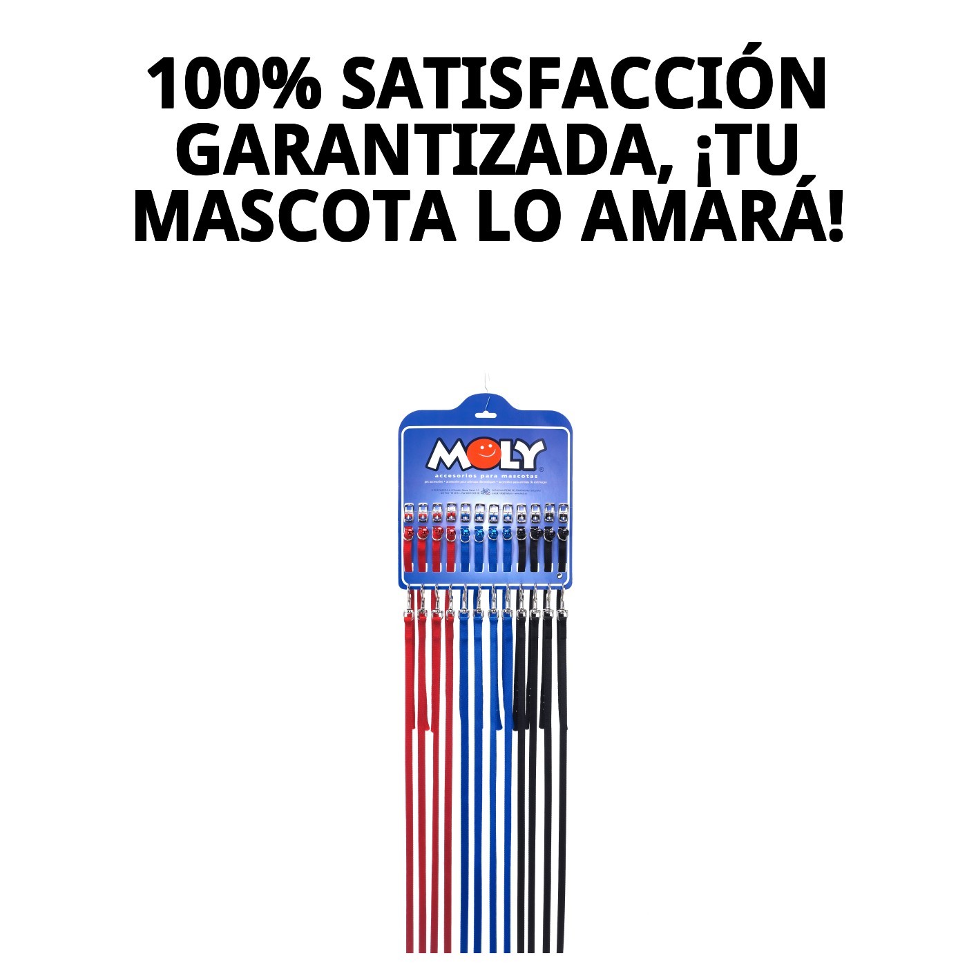 COLLAR Y RAMAL LISOS CON CASCABEL