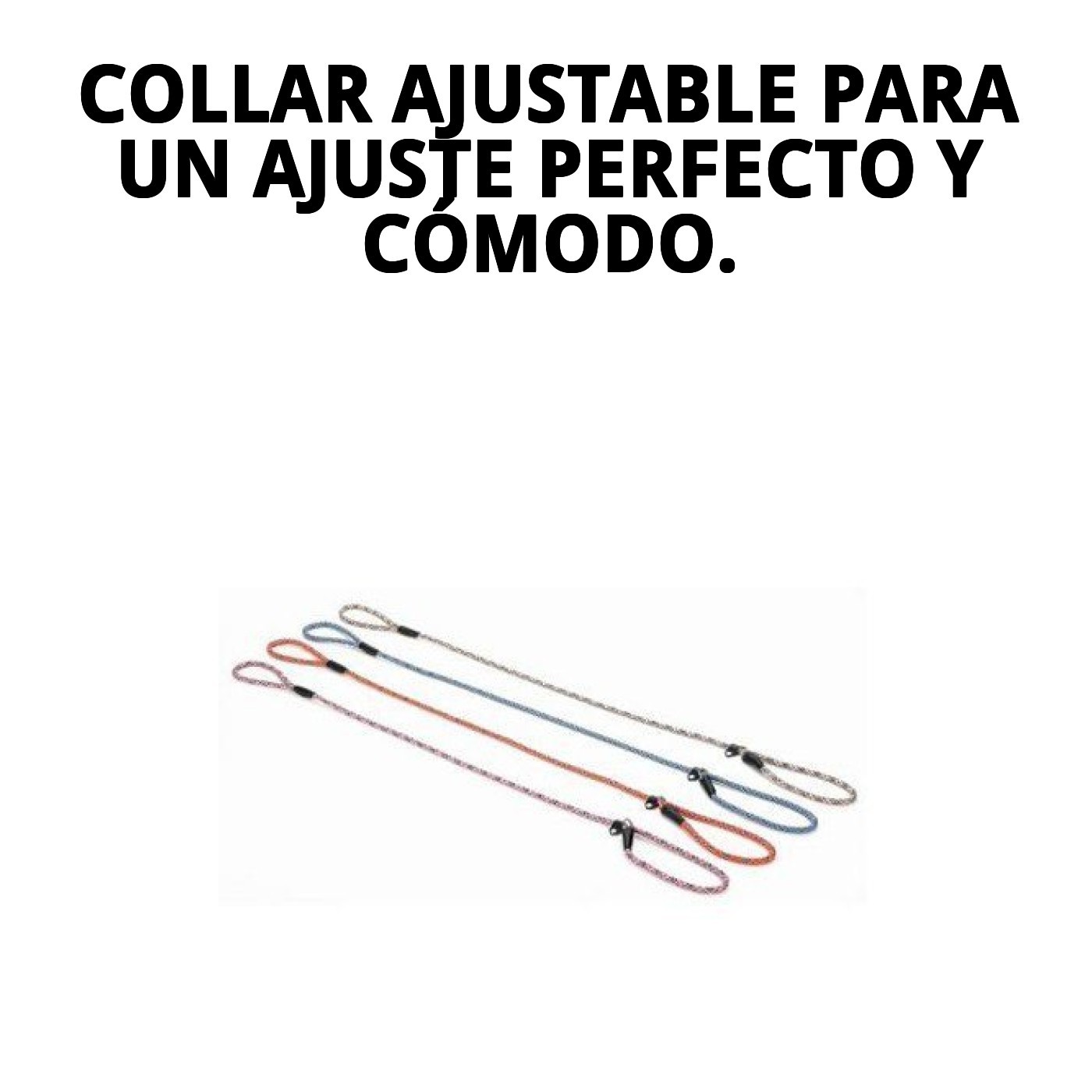 COLLAR Y RAMAL NYLON ADIESTRA 120 X 0,80cm