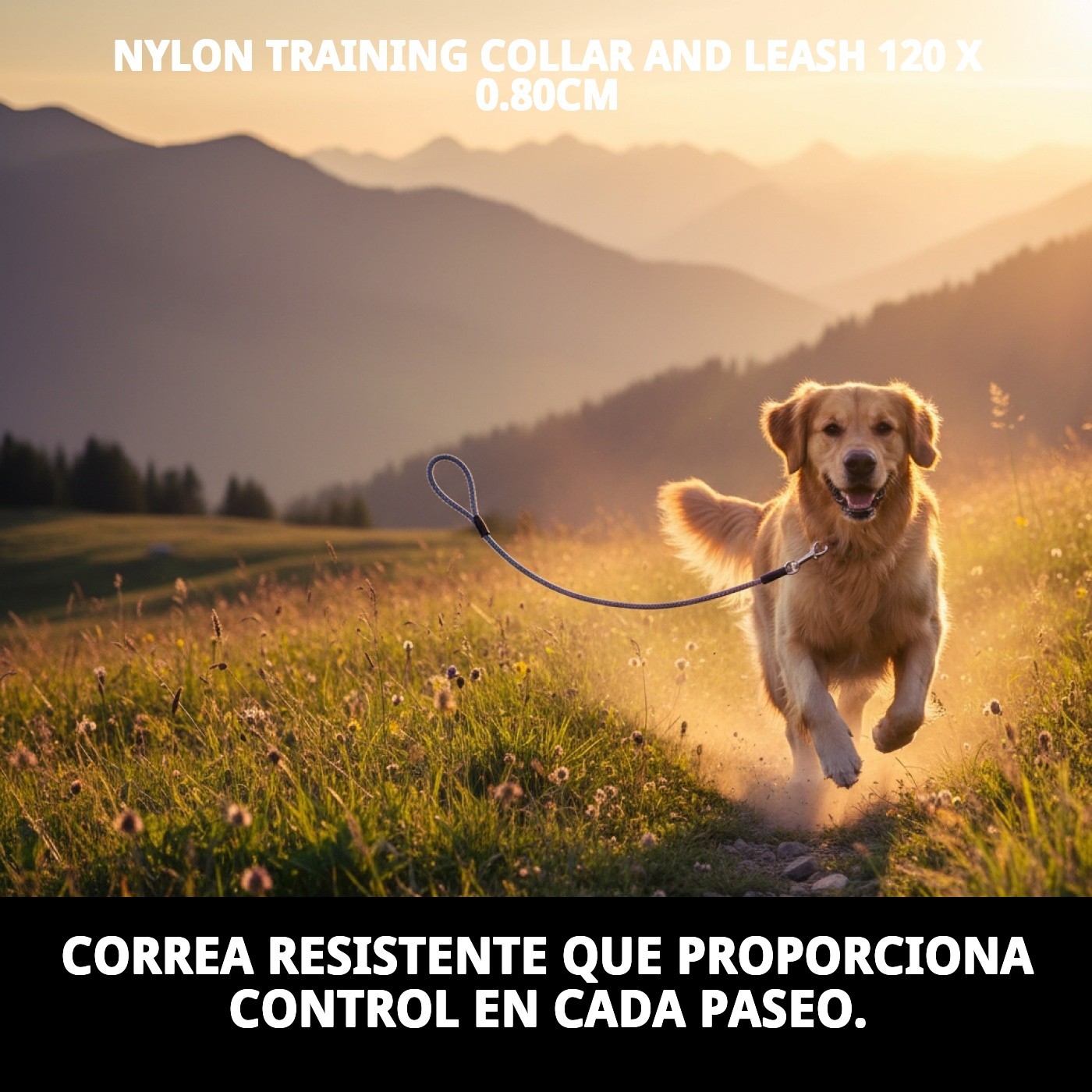 COLLAR Y RAMAL NYLON ADIESTRA 120 X 0,80cm