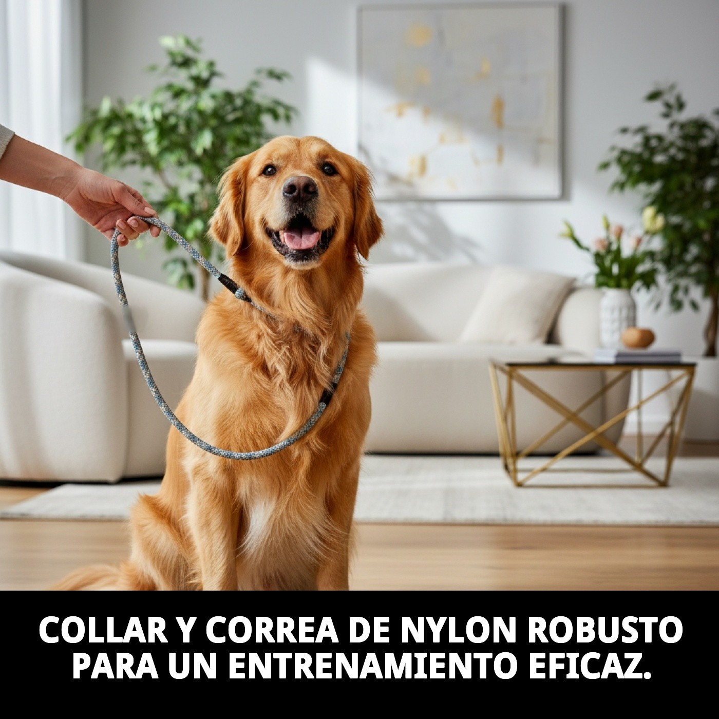 COLLAR Y RAMAL NYLON ADIESTRA 120 X 1,30cm