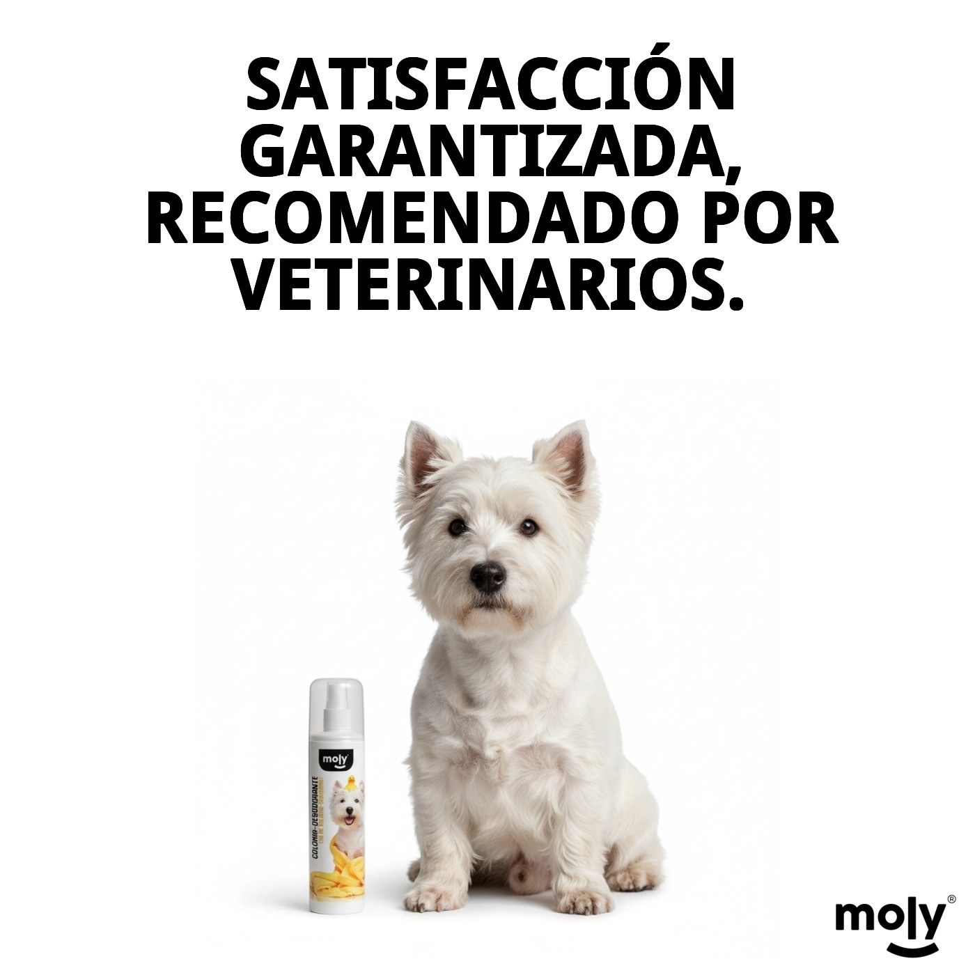 Colonia Desodorante 200 ml Moly | Frescura Duradera y Aroma Suave para Perros