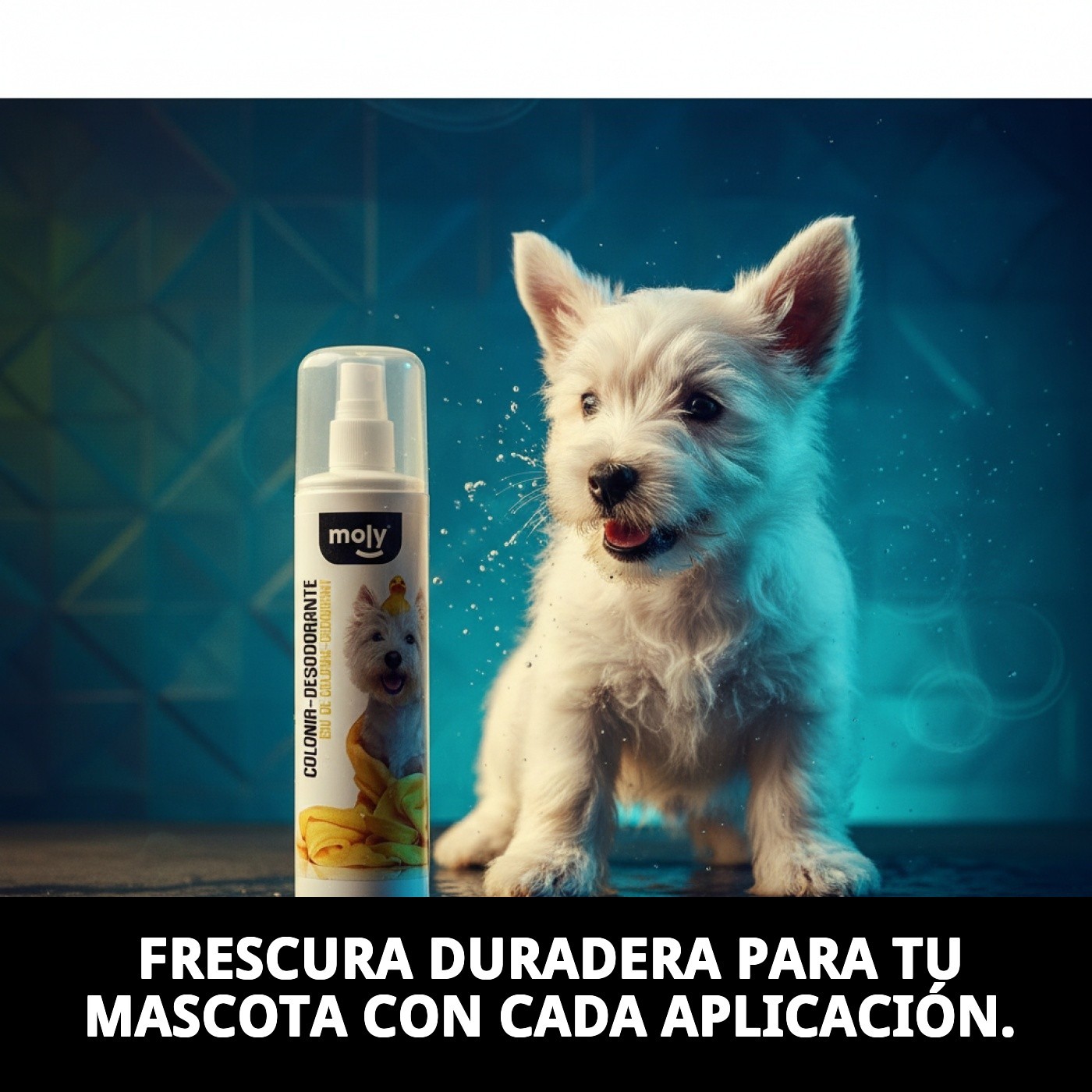 Colonia Desodorante 200 ml Moly | Frescura Duradera y Aroma Suave para Perros