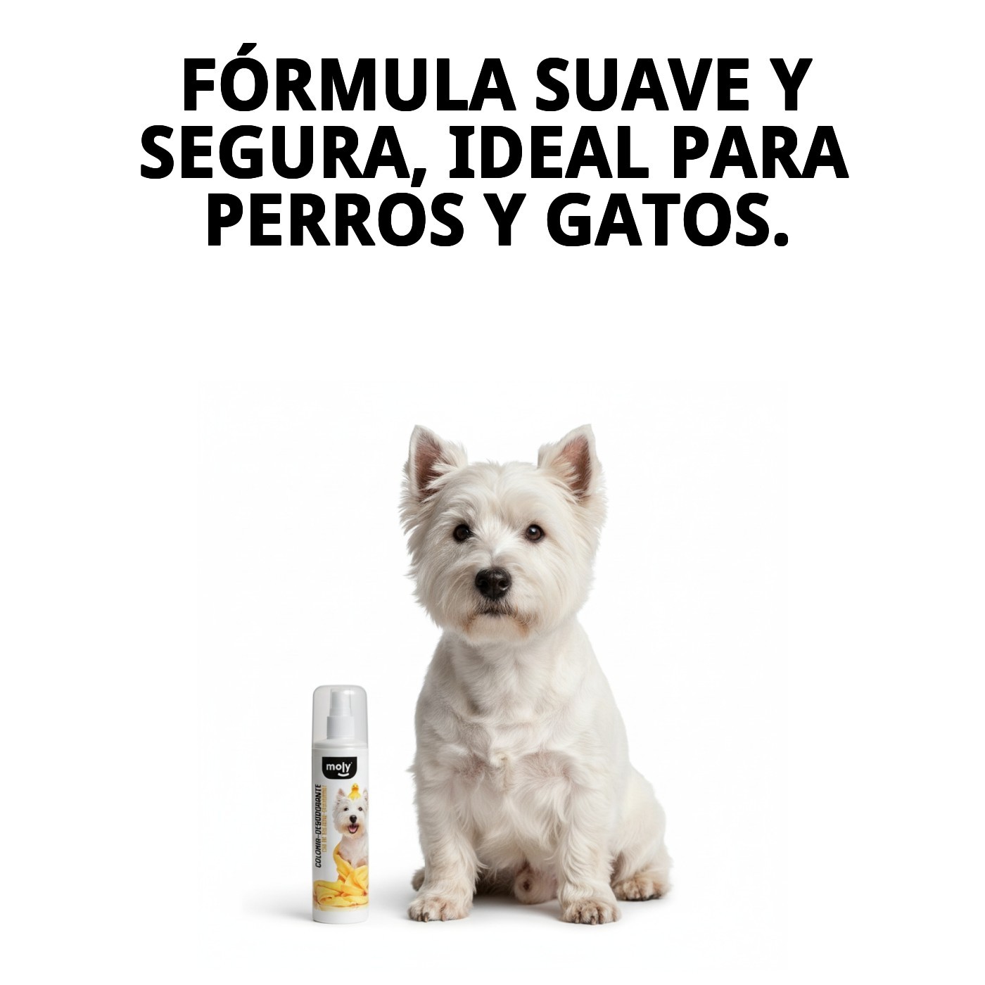 Colonia Desodorante 200 ml Moly | Frescura Duradera y Aroma Suave para Perros