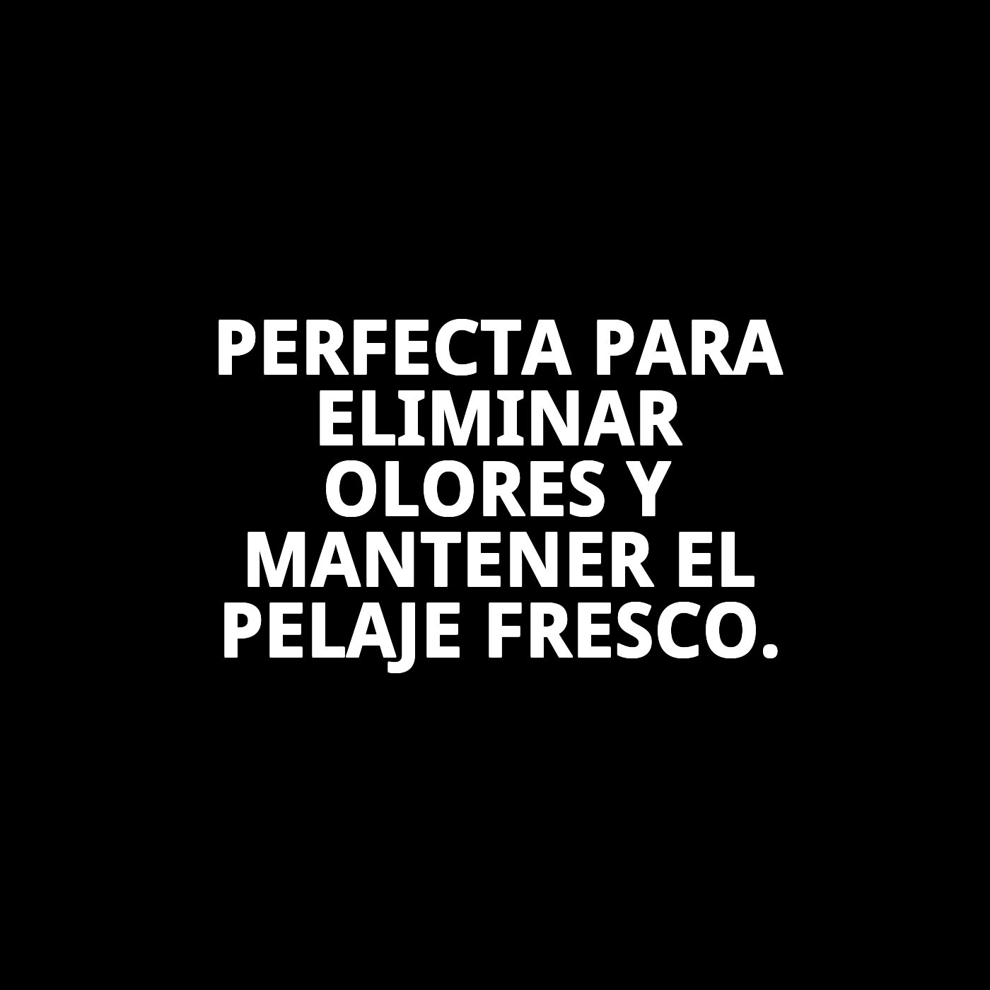 Colonia Desodorante 200 ml Moly | Frescura Duradera y Aroma Suave para Perros