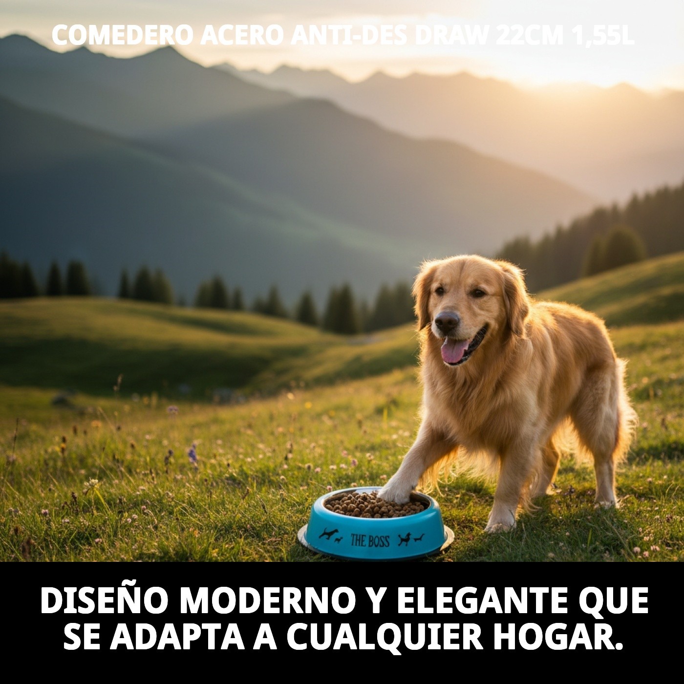 COMEDERO ACERO ANTI-DES DRAW 22CM 1,55L