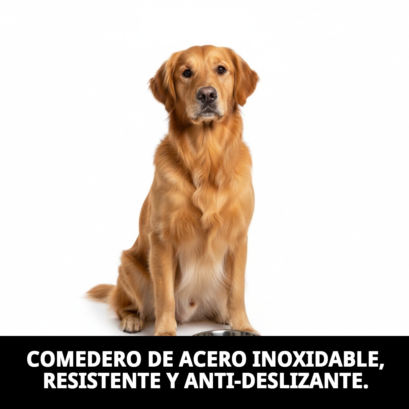 COMEDERO ACERO ANTI-DES MOTIF 18CM 0,90L