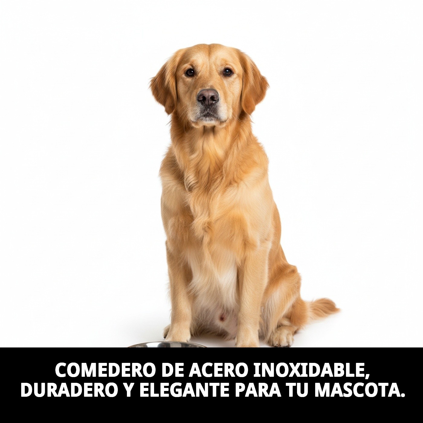 COMEDERO ACERO EXTRA C/FIG. 25 CM 2,35 L