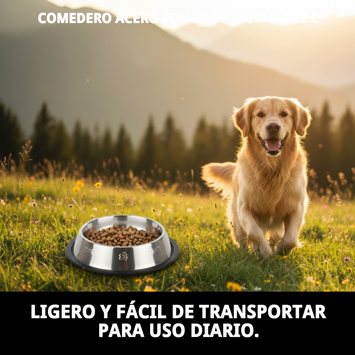 COMEDERO ACERO PIRAMIDE 12cm X 0,22 l