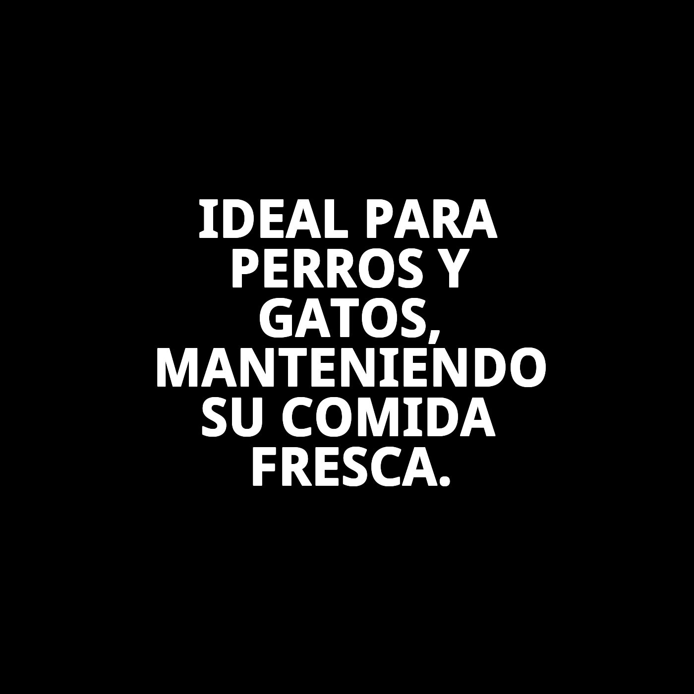 Comedero Antihormigas Doble 27 cm Moly | Dos Compartimentos con Sistema Antiinsectos