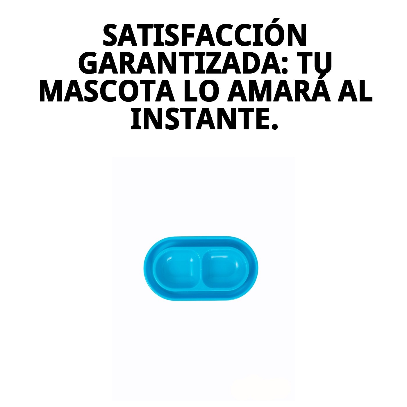 Comedero Antihormigas Doble 27 cm Moly | Dos Compartimentos con Sistema Antiinsectos