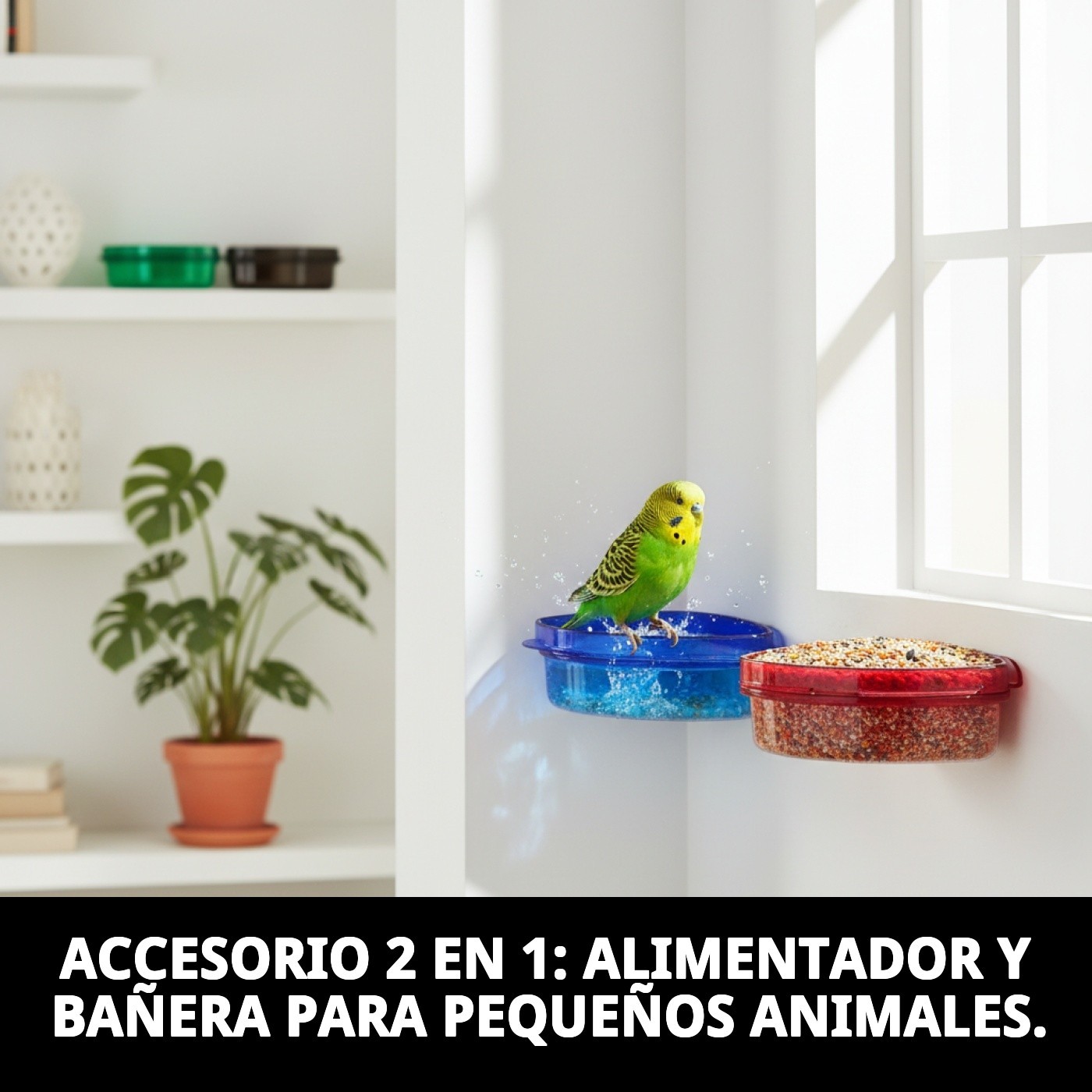 COMEDERO/BAÑERA ESQUIN.V/COLOR. 12CM INT.