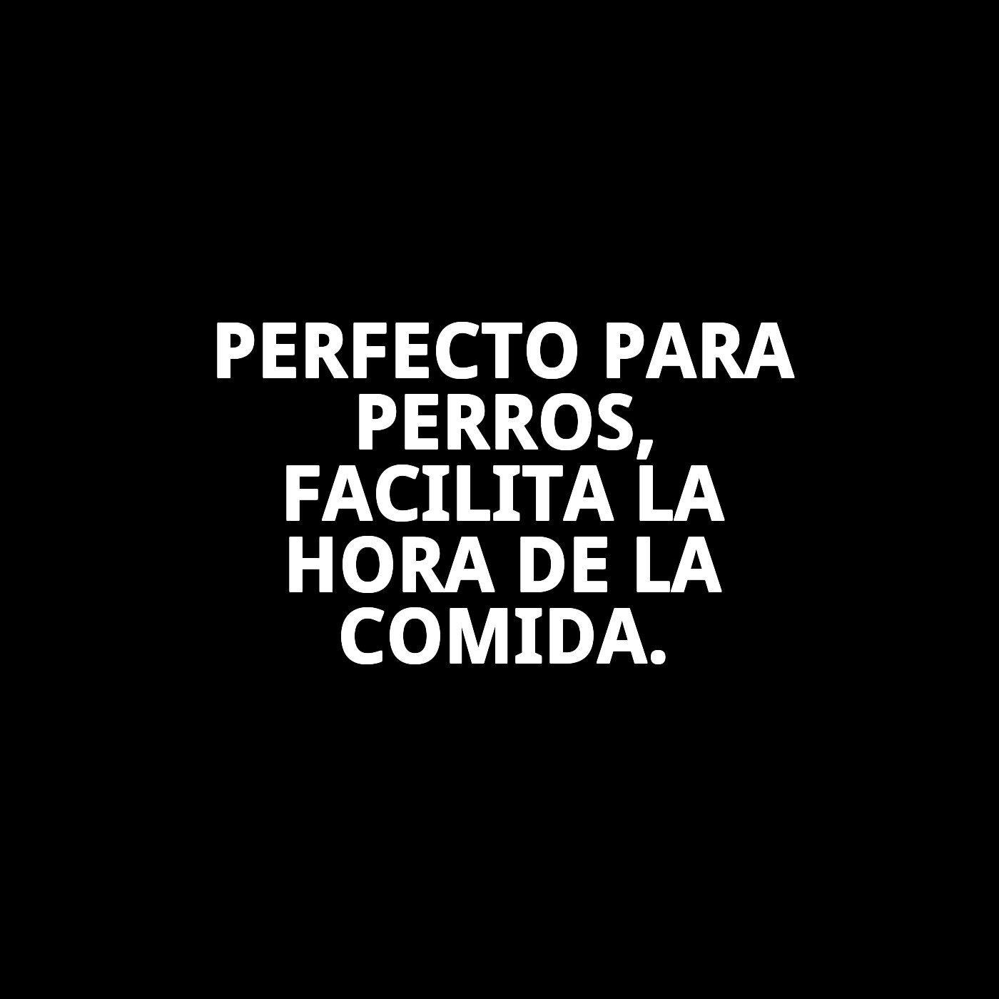 COMEDERO BREAK N.11 DOBLE 28X17X6 H