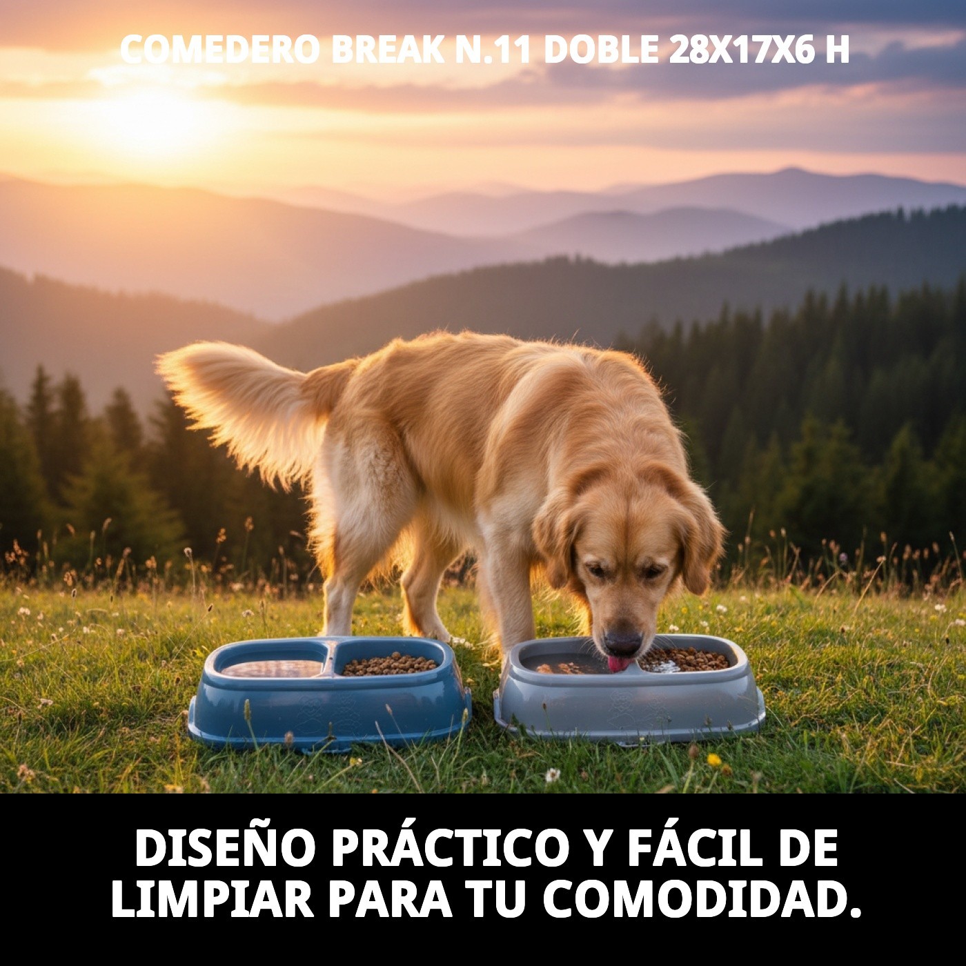 COMEDERO BREAK N.11 DOBLE 28X17X6 H