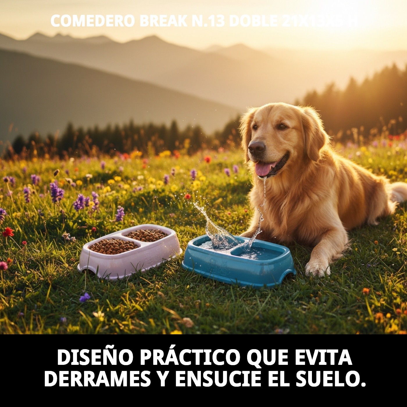 COMEDERO BREAK N.13 DOBLE 21X13X5 H