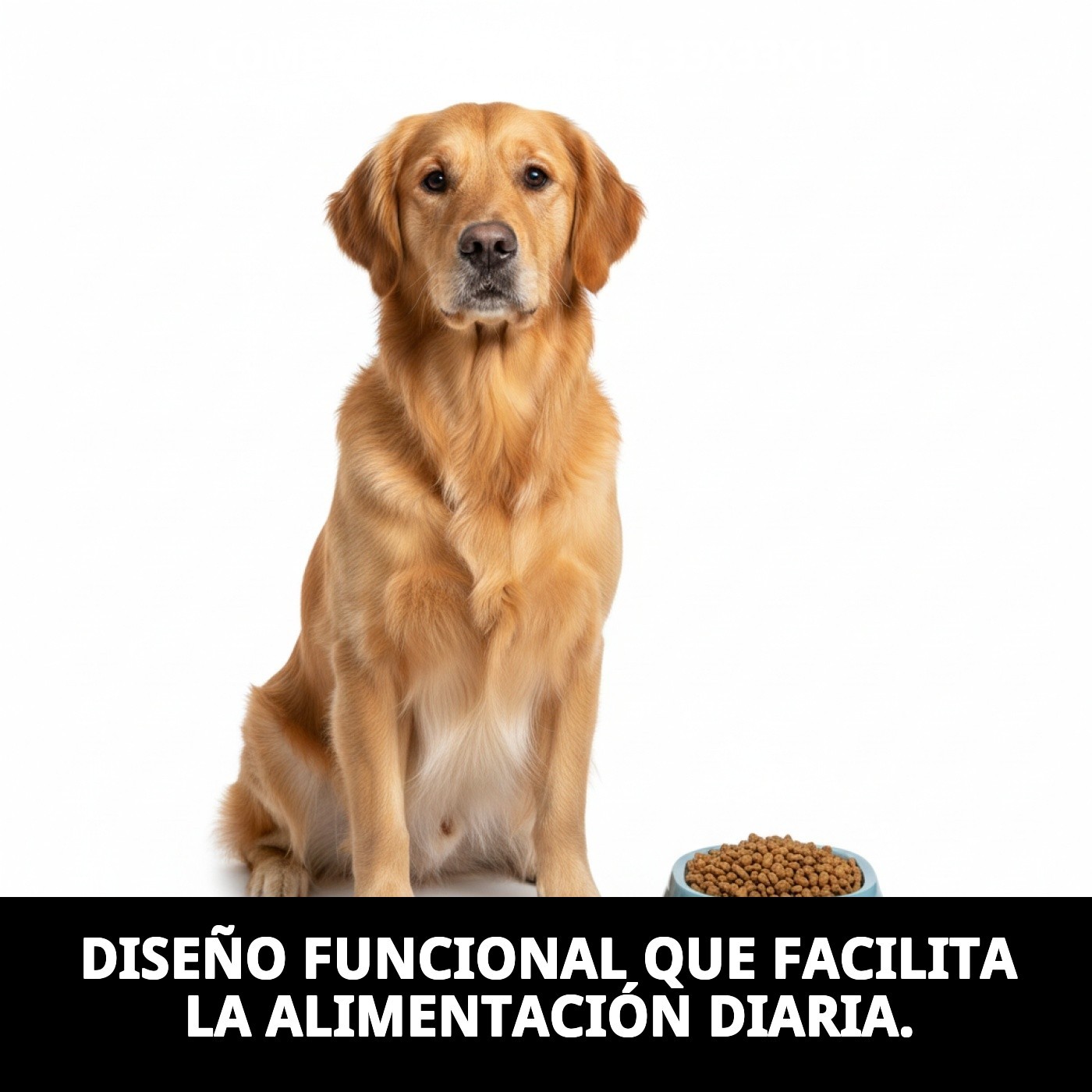 COMEDERO BREAK N.5 33X33X13 H