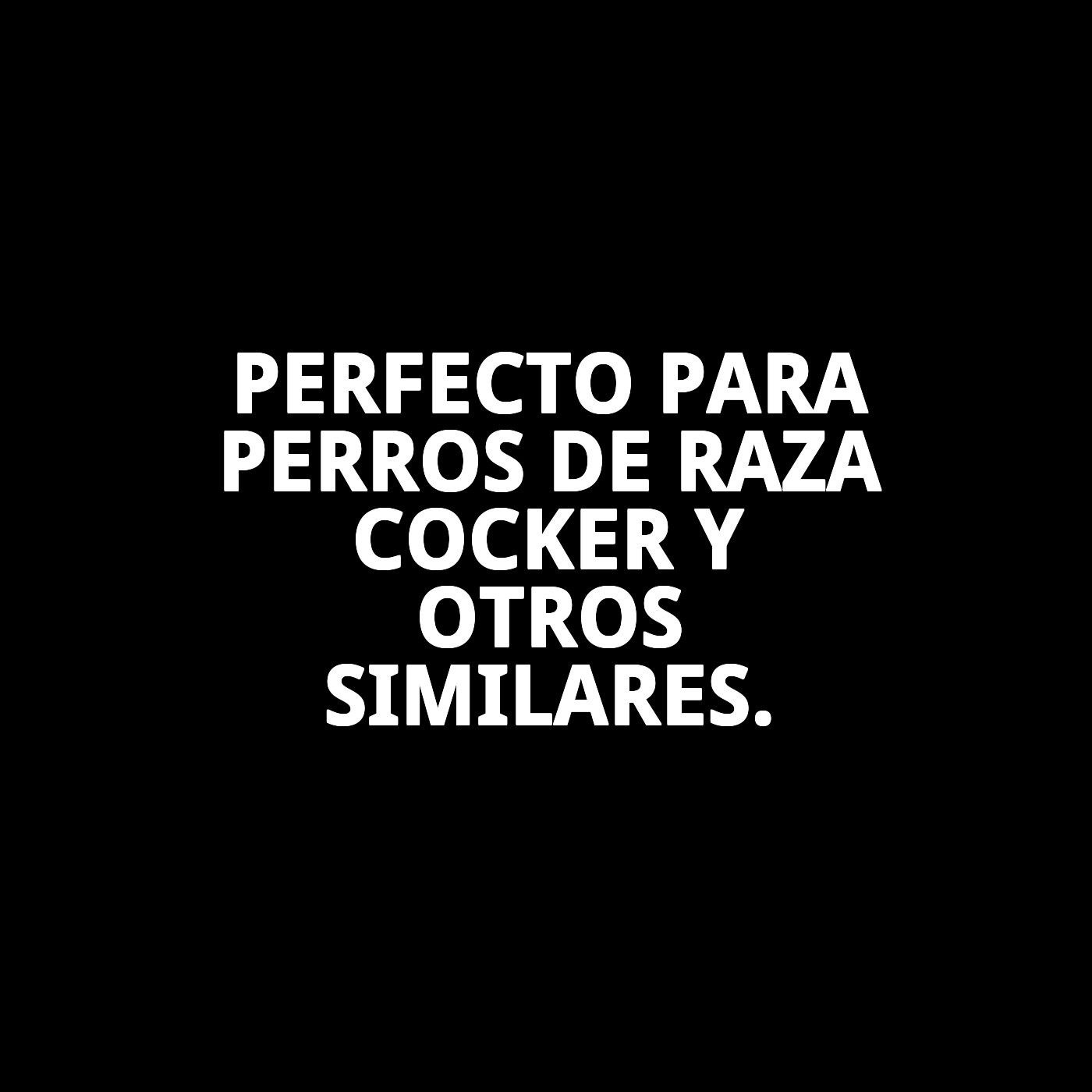 COMEDERO BREAK N.9 COCKER 19X19X11 H