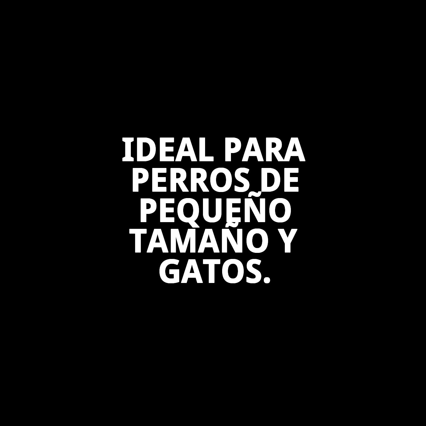 COMEDERO CHIC N1 0,35 L 12CM