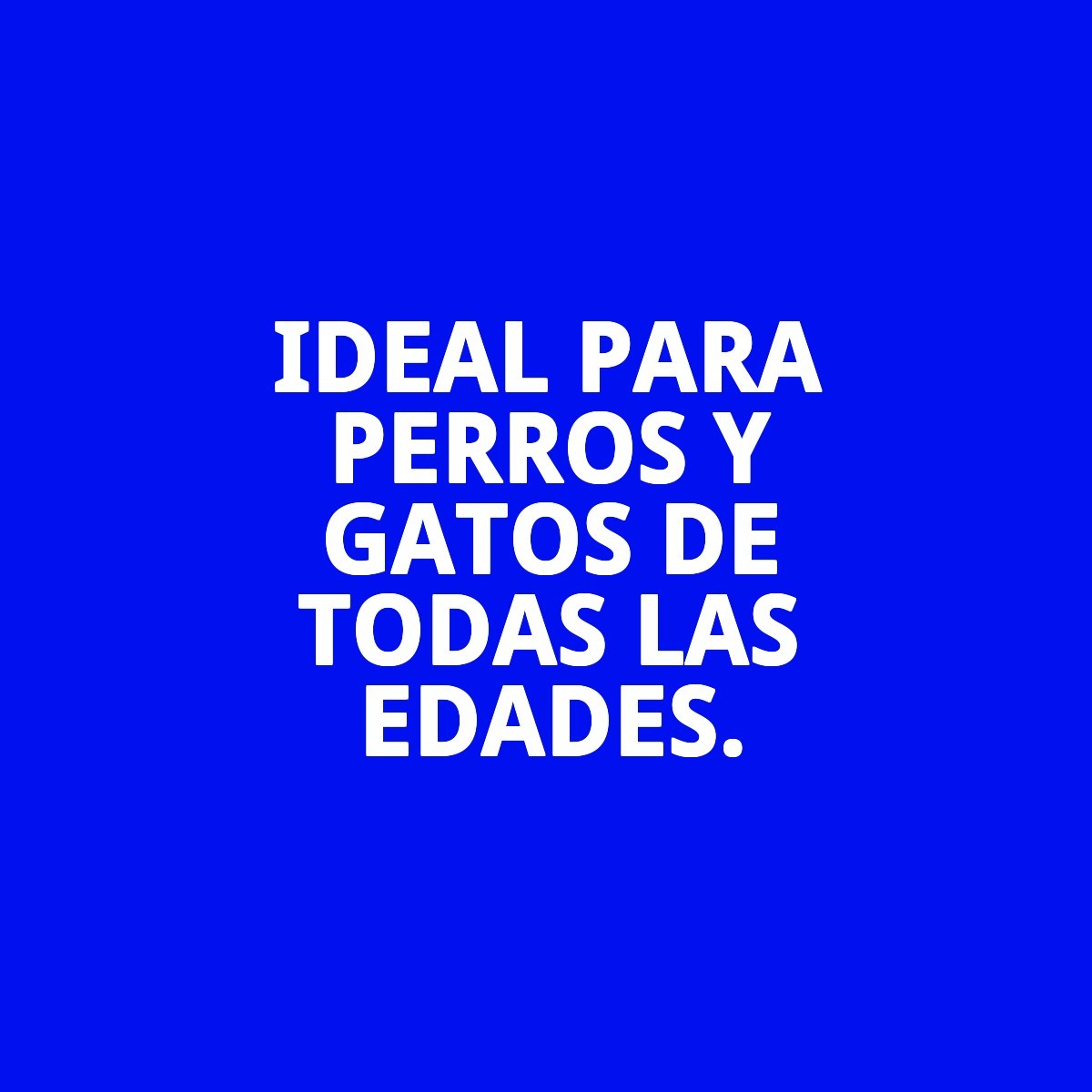 COMEDERO DOBLE 16.5CM C/SOPORTE 2X0.70L