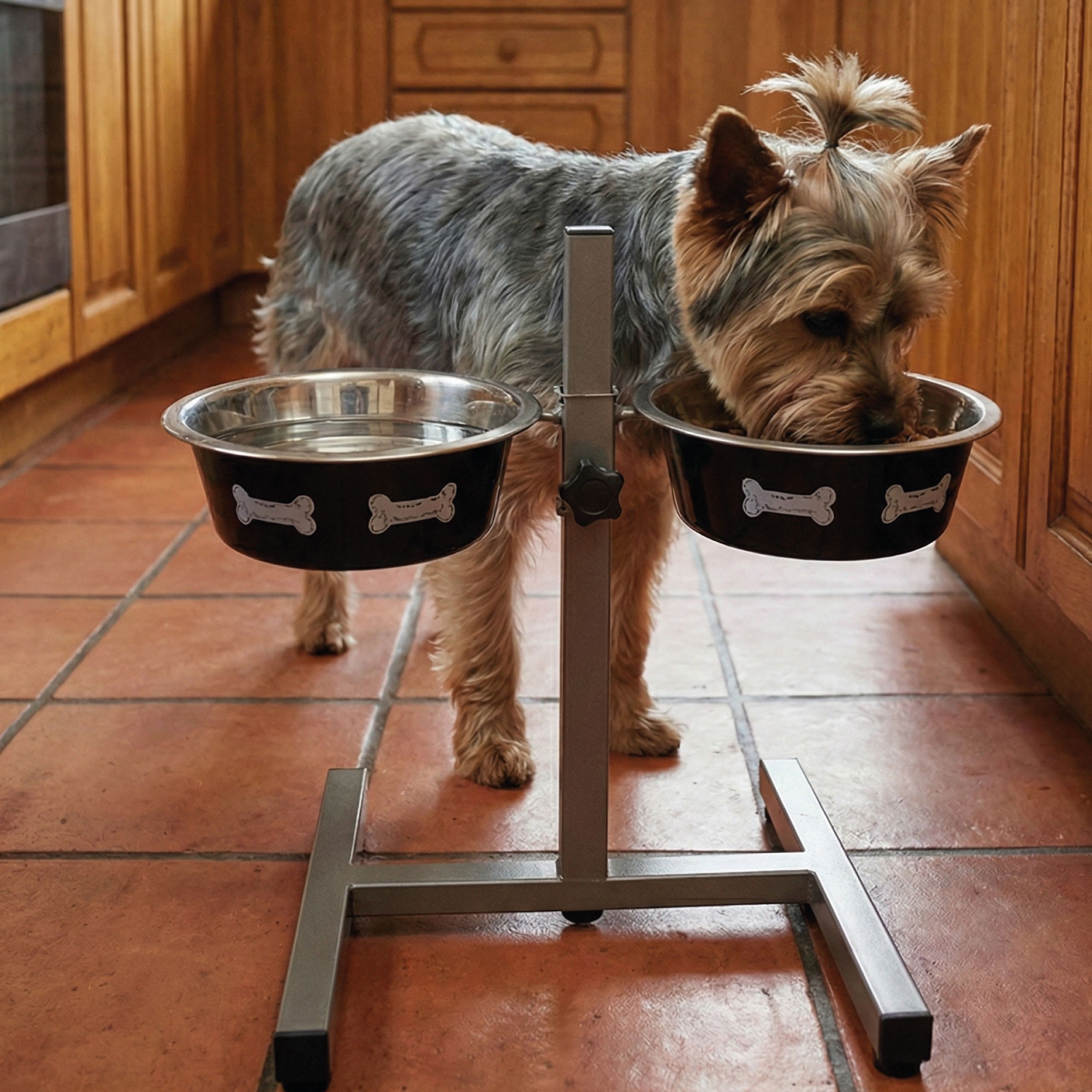 Comedero Doble Regulable en Altura Moly | 2 Cuencos de 1.55 L para Perros Medianos y Grandes