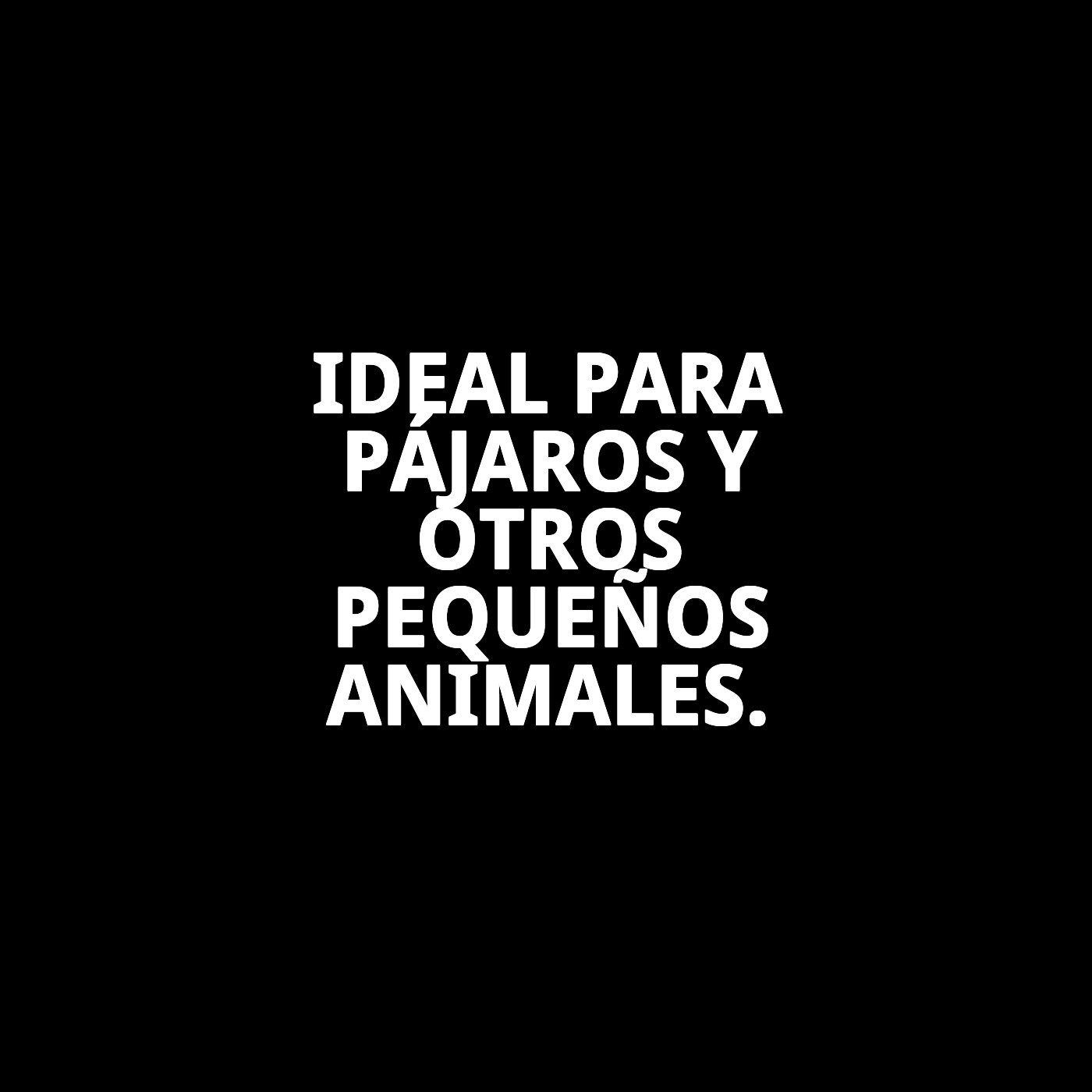 COMEDERO EXOTICO C/G. HIERRO 11 CM.