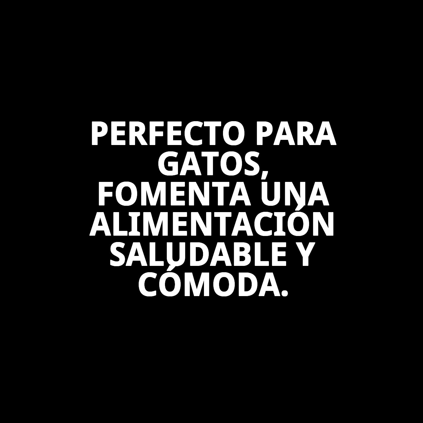 COMEDERO GATO ACERO DRAW 12CM 0,22L NEW