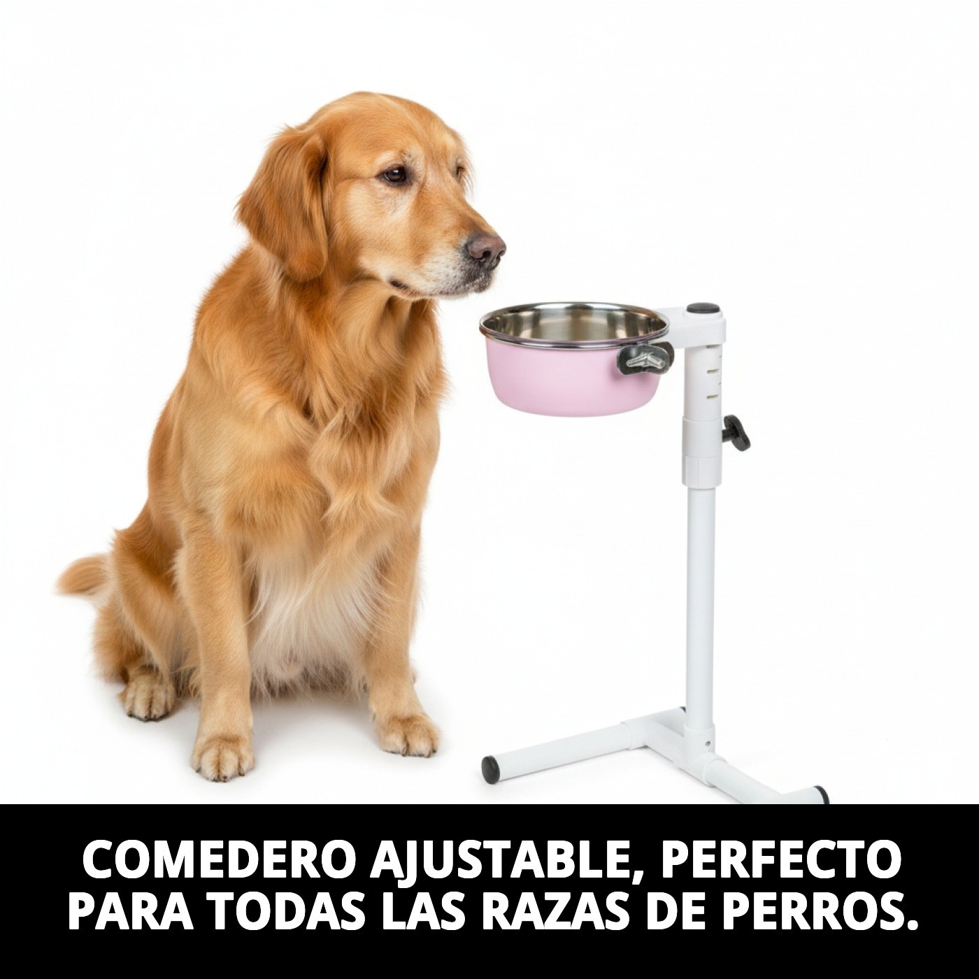 COMEDERO MULTIUSOS CAKE 12,5CM AJUSTABLE