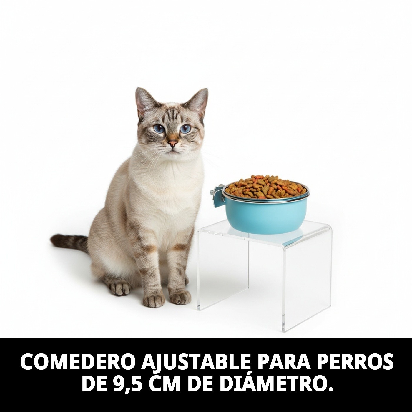 COMEDERO MULTIUSOS CAKE 9,5CM AJUSTABLE