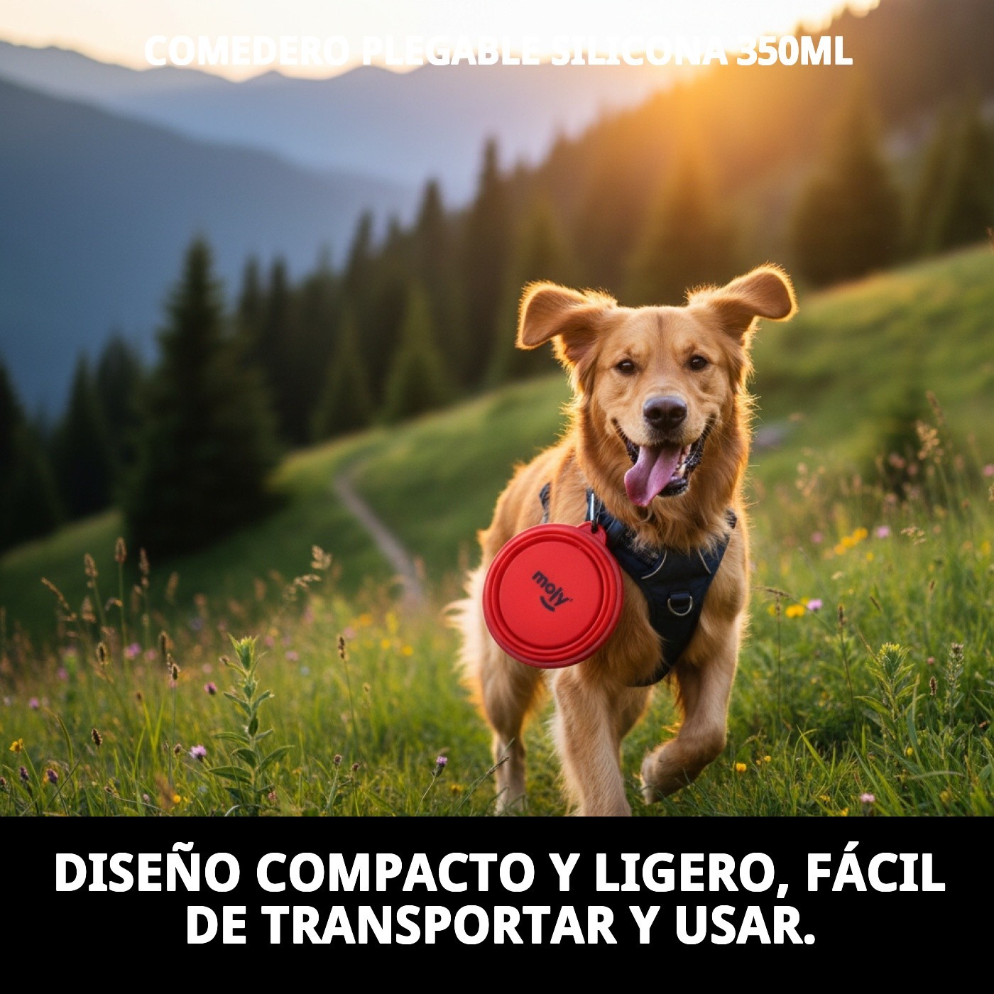 Comedero Plegable de Silicona 350 ml Moly | Con Mosquetón Incluido-Portátil, Antideslizante y Perfecto para Viajes