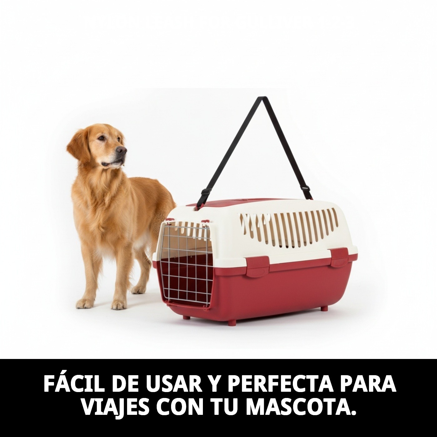 Correa de Nylon para Transportín Gulliver 1, 2 y 3 | Accesorio Original y Resistente