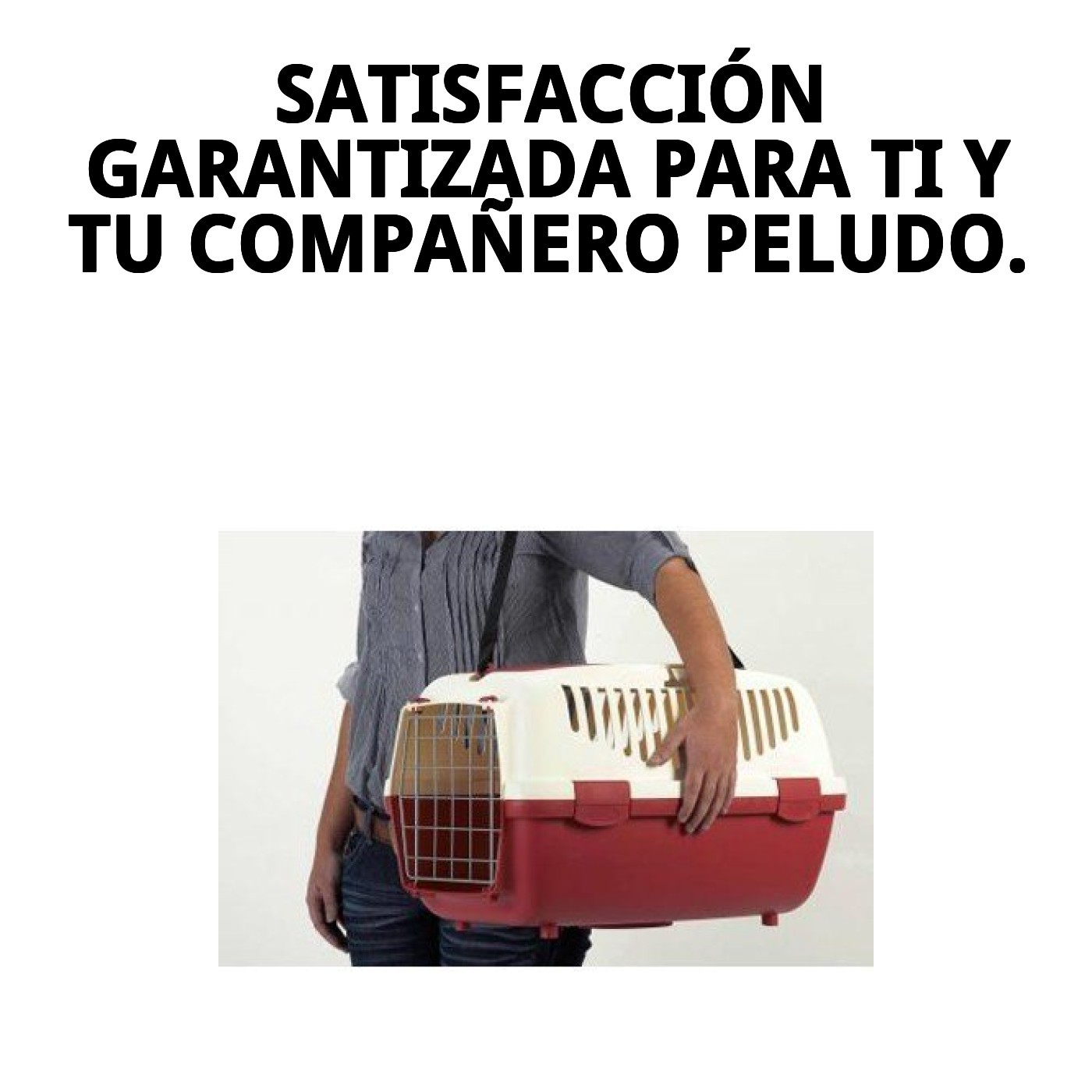 Correa de Nylon para Transportín Gulliver 1, 2 y 3 | Accesorio Original y Resistente