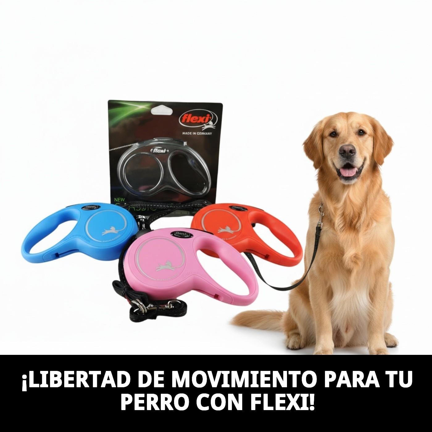 Correa Extensible Flexi New Classic M/L 5 m Cinta | Máximo Control y Libertad para Perros Medianos y Grandes